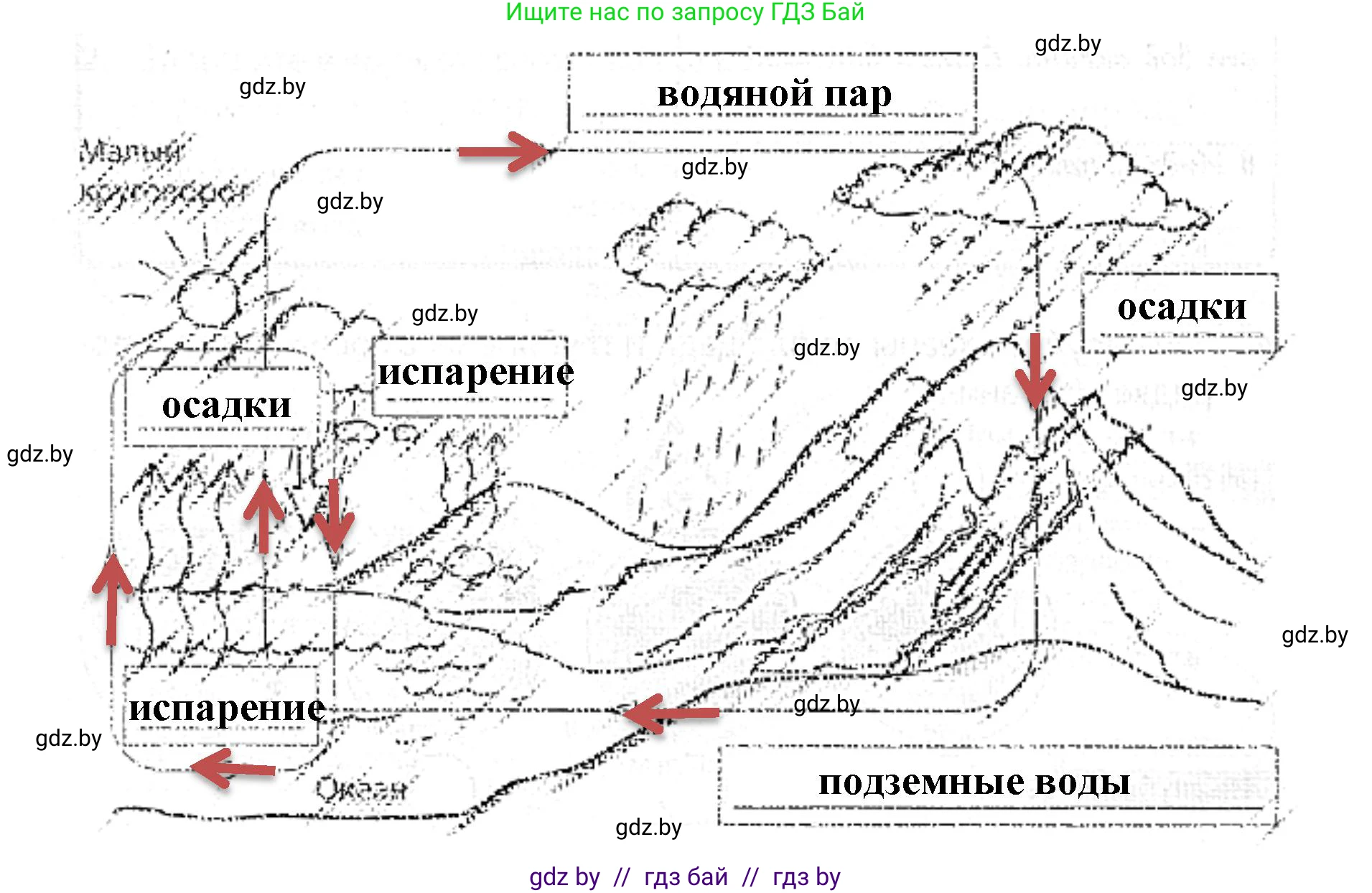 Человек и мир, 5 класс Практикум, авторы: Кольмакова Елена Генадьевна, Сарычева Ольга Владимировна, издательство Аверсэв, Минск, 2022, голубого цвета, страница 74, номер 6, Решение