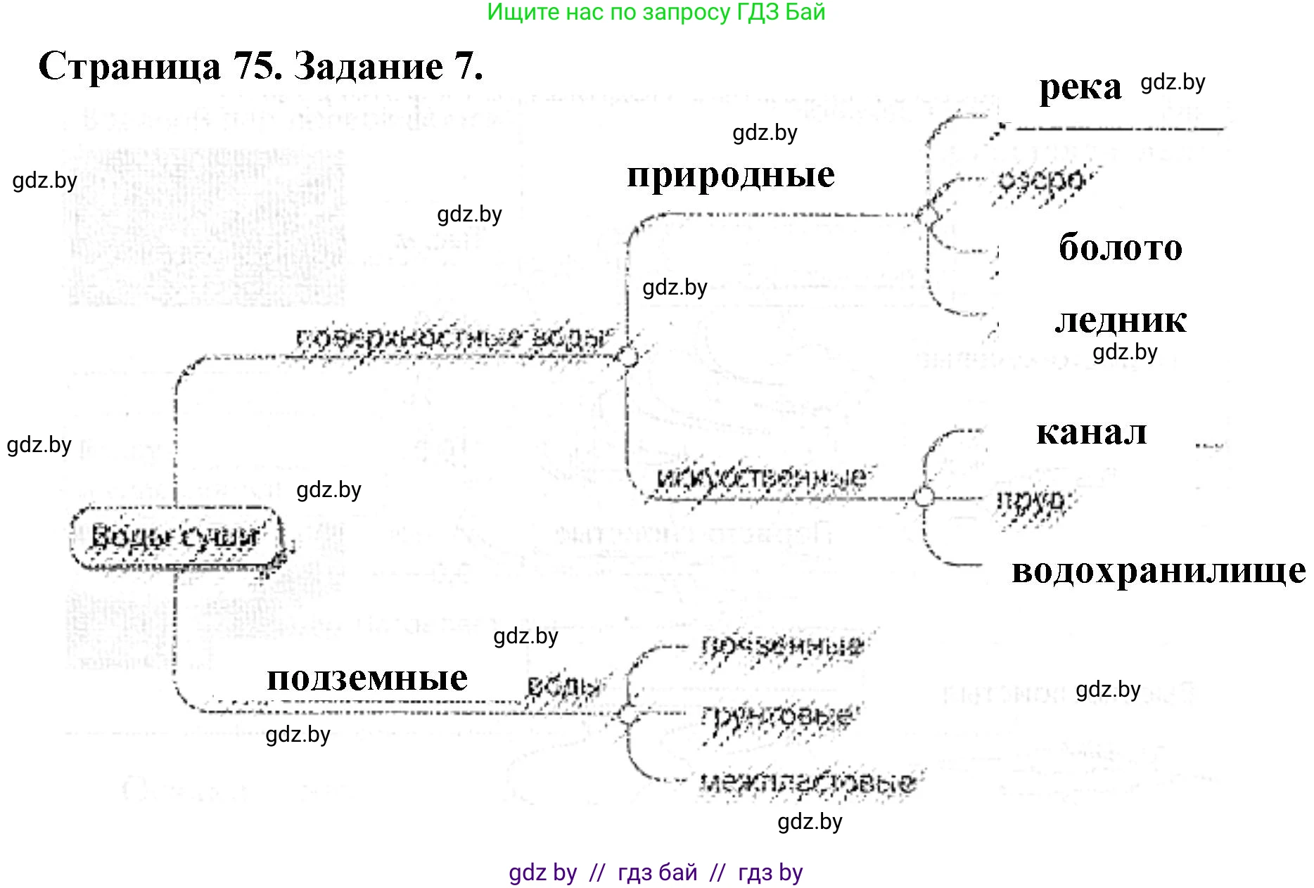Человек и мир, 5 класс Практикум, авторы: Кольмакова Елена Генадьевна, Сарычева Ольга Владимировна, издательство Аверсэв, Минск, 2022, голубого цвета, страница 75, номер 7, Решение