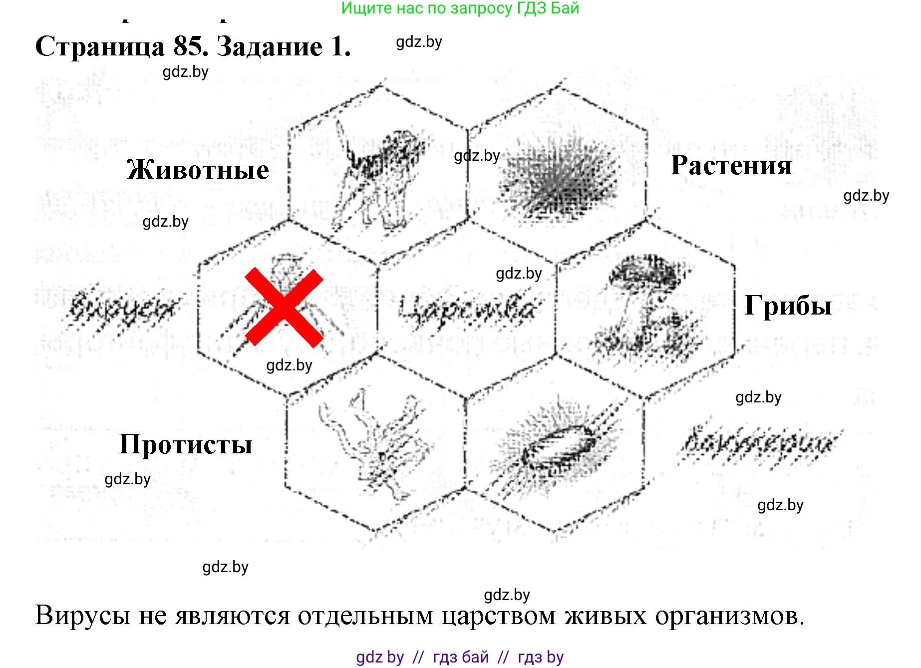 Человек и мир, 5 класс Практикум, авторы: Кольмакова Елена Генадьевна, Сарычева Ольга Владимировна, издательство Аверсэв, Минск, 2022, голубого цвета, страница 85, номер 1, Решение