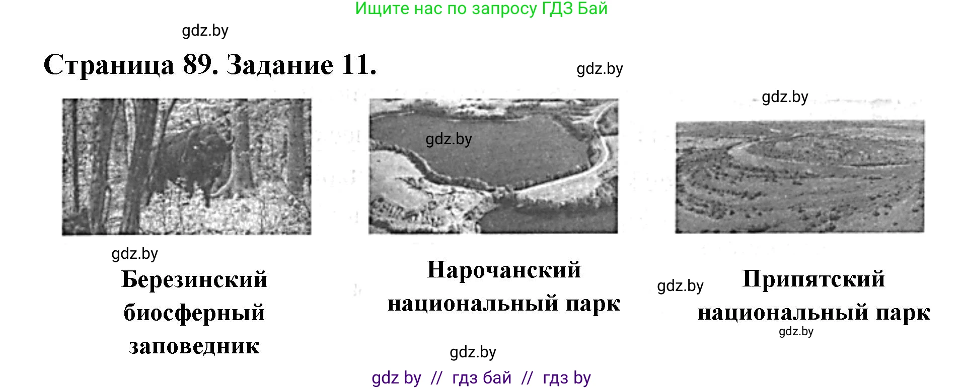 Человек и мир, 5 класс Практикум, авторы: Кольмакова Елена Генадьевна, Сарычева Ольга Владимировна, издательство Аверсэв, Минск, 2022, голубого цвета, страница 89, номер 11, Решение