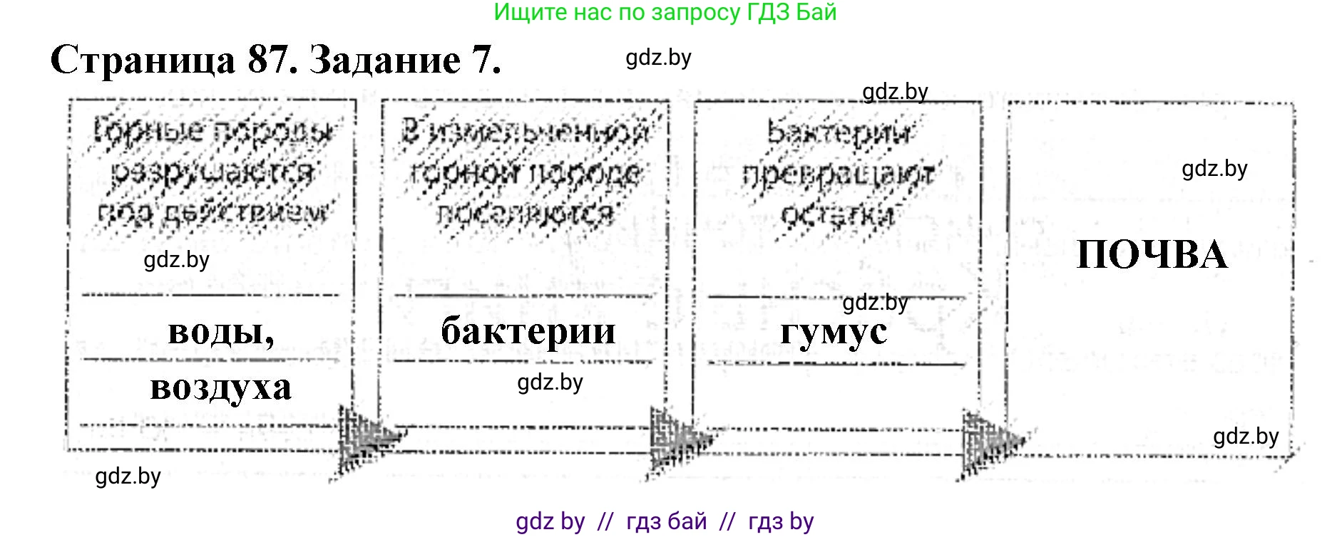 Человек и мир, 5 класс Практикум, авторы: Кольмакова Елена Генадьевна, Сарычева Ольга Владимировна, издательство Аверсэв, Минск, 2022, голубого цвета, страница 87, номер 7, Решение