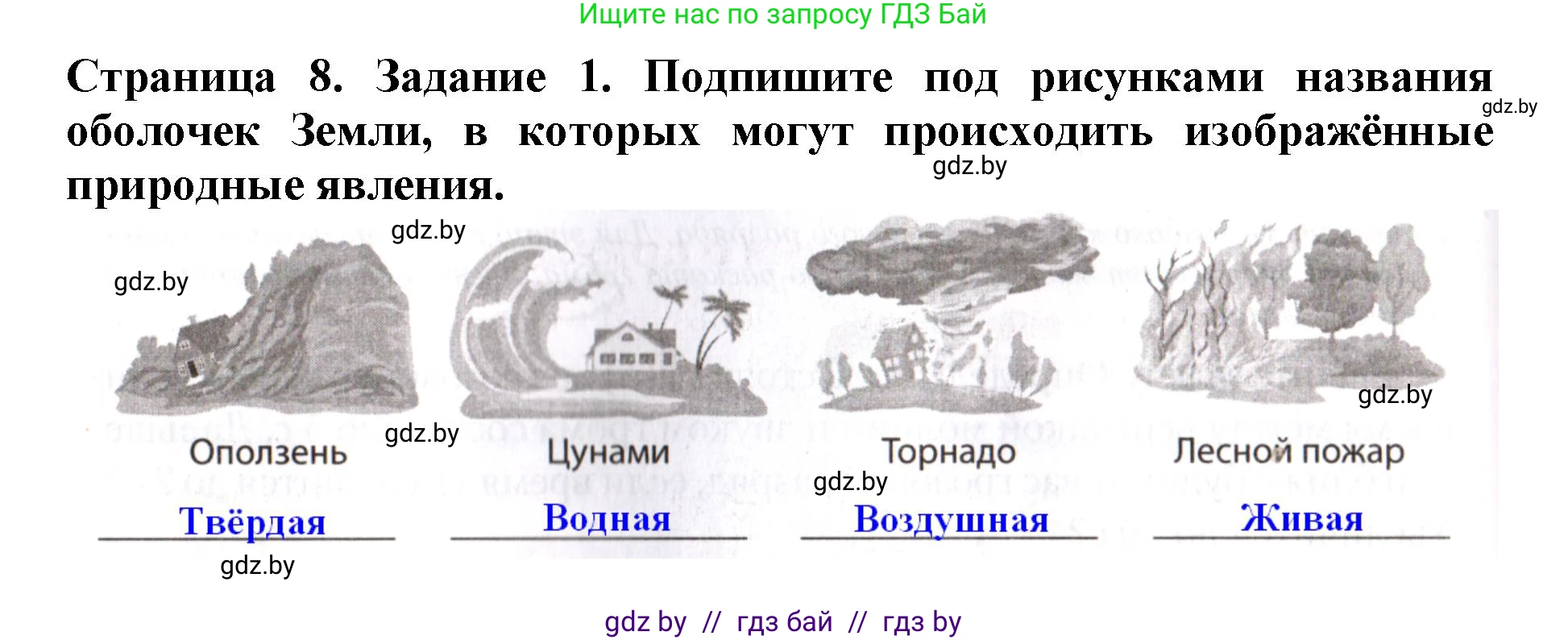 Человек и мир, 5 класс рабочая тетрадь, авторы: Лопух Пётр Степанович, Шкель Людмила Валерьевна, издательство Аверсэв, Минск, 2022, страница 8, номер 1, Решение