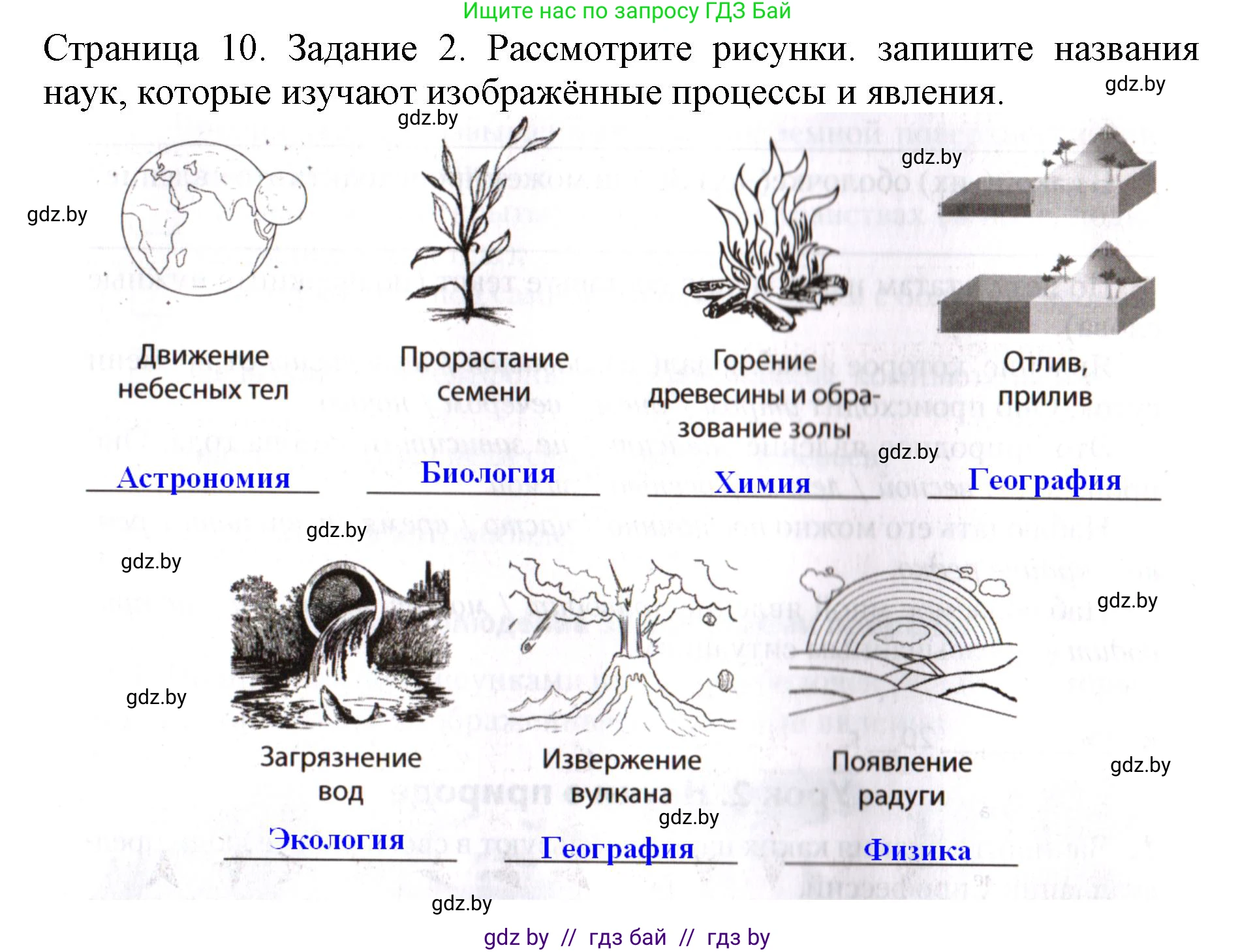 Человек и мир, 5 класс рабочая тетрадь, авторы: Лопух Пётр Степанович, Шкель Людмила Валерьевна, издательство Аверсэв, Минск, 2022, страница 10, номер 2, Решение