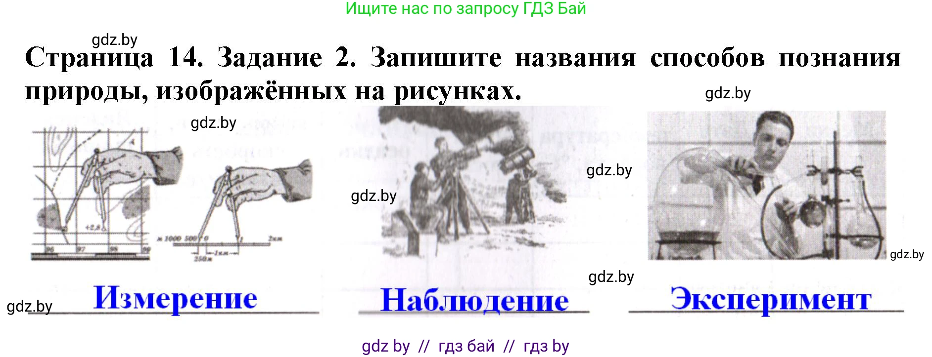 Человек и мир, 5 класс рабочая тетрадь, авторы: Лопух Пётр Степанович, Шкель Людмила Валерьевна, издательство Аверсэв, Минск, 2022, страница 14, номер 2, Решение