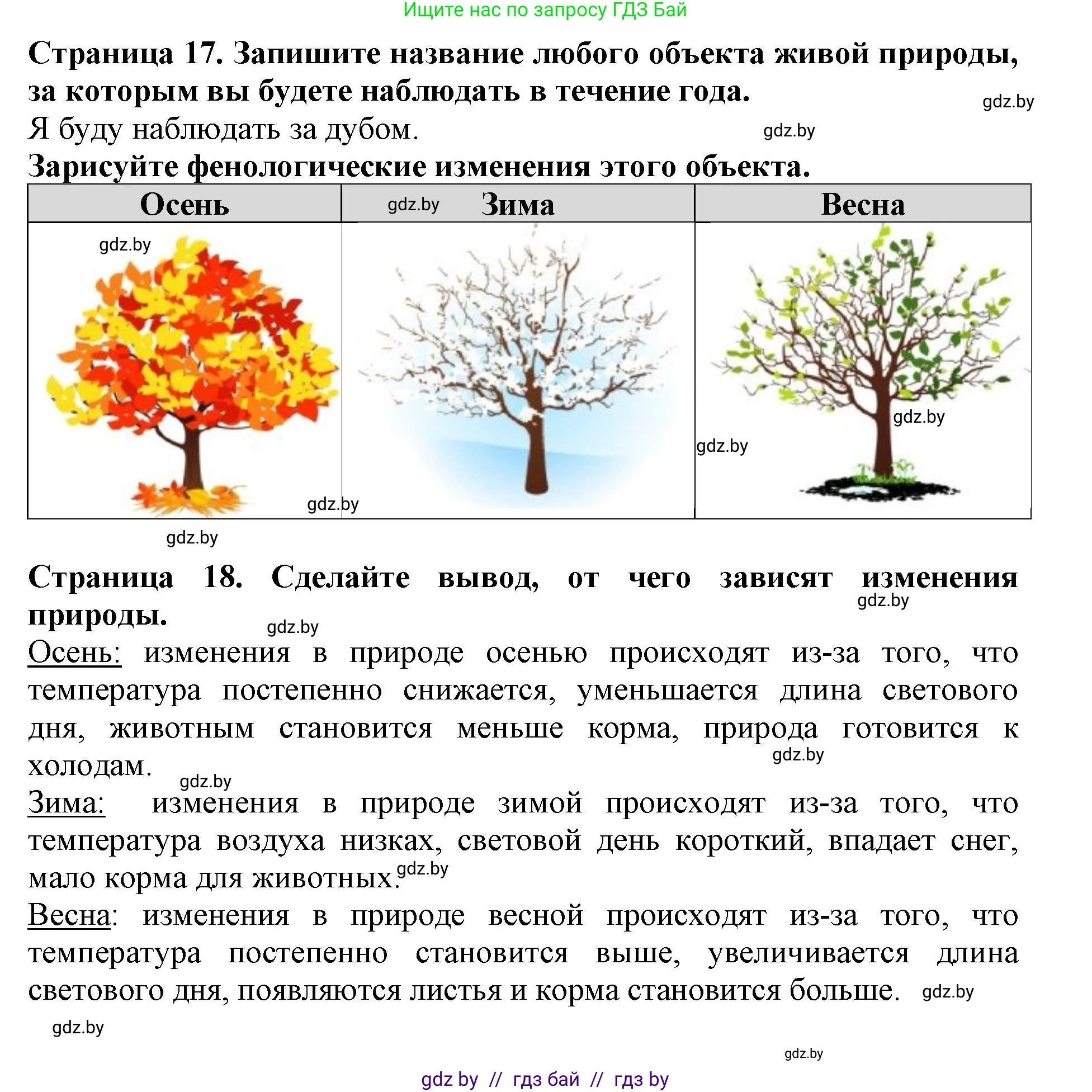 Человек и мир, 5 класс рабочая тетрадь, авторы: Лопух Пётр Степанович, Шкель Людмила Валерьевна, издательство Аверсэв, Минск, 2022, страница 17, номер 2, Решение