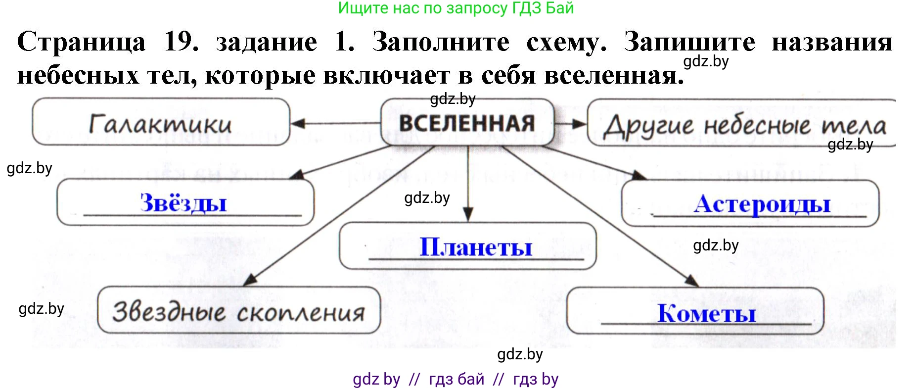 Человек и мир, 5 класс рабочая тетрадь, авторы: Лопух Пётр Степанович, Шкель Людмила Валерьевна, издательство Аверсэв, Минск, 2022, страница 19, номер 1, Решение