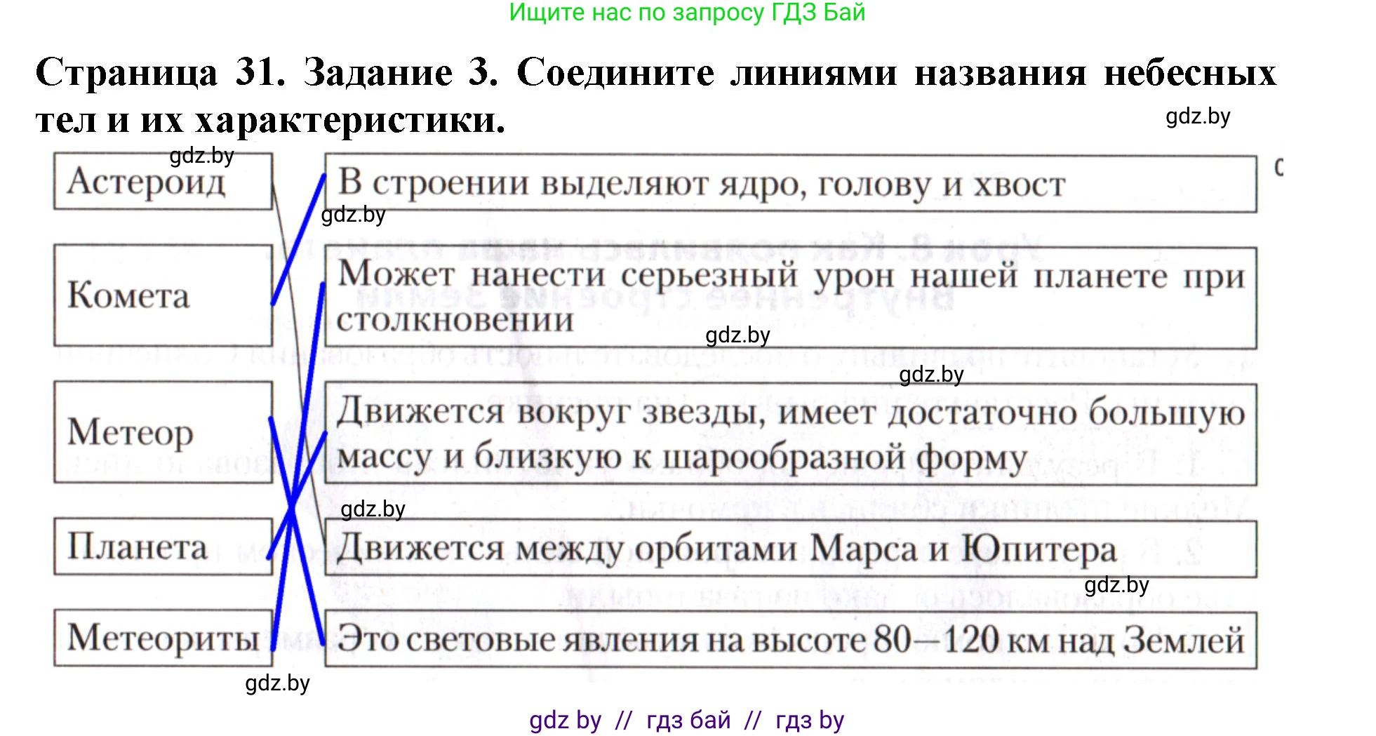 Человек и мир, 5 класс рабочая тетрадь, авторы: Лопух Пётр Степанович, Шкель Людмила Валерьевна, издательство Аверсэв, Минск, 2022, страница 31, номер 3, Решение