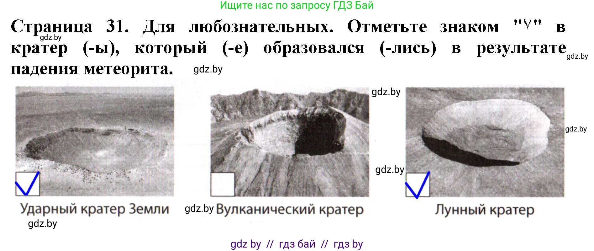 Человек и мир, 5 класс рабочая тетрадь, авторы: Лопух Пётр Степанович, Шкель Людмила Валерьевна, издательство Аверсэв, Минск, 2022, страница 31, номер 1, Решение
