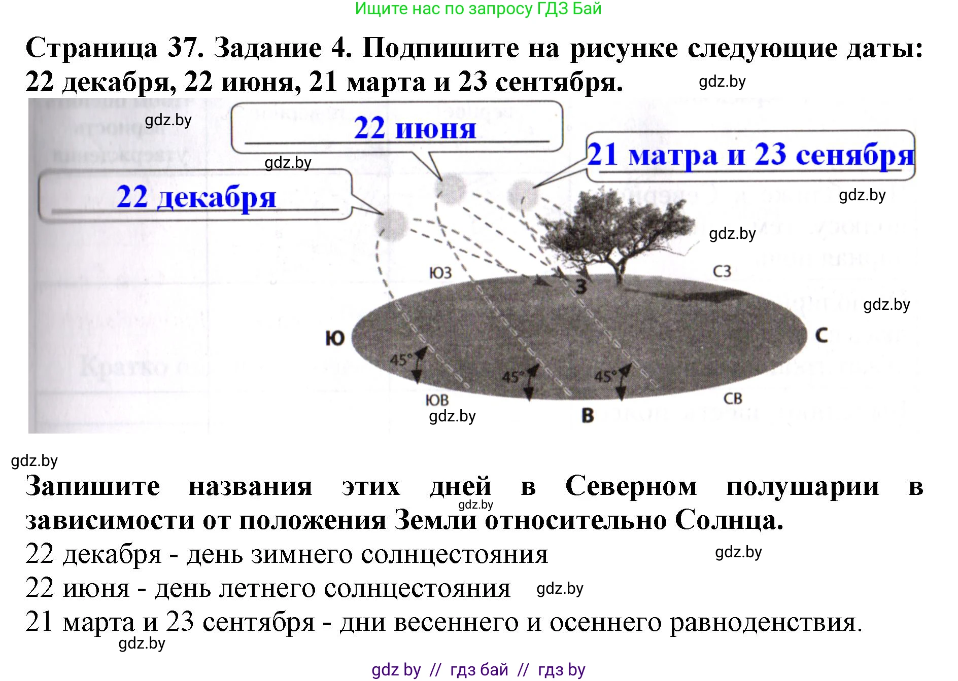 Человек и мир, 5 класс рабочая тетрадь, авторы: Лопух Пётр Степанович, Шкель Людмила Валерьевна, издательство Аверсэв, Минск, 2022, страница 37, номер 4, Решение