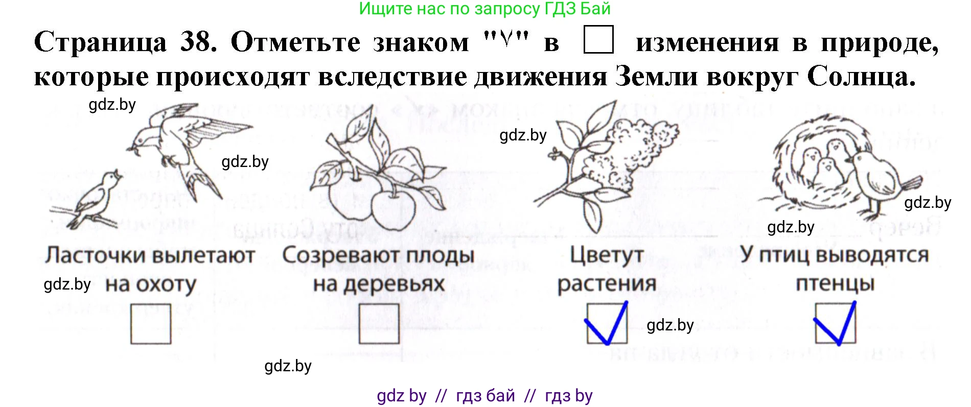 Человек и мир, 5 класс рабочая тетрадь, авторы: Лопух Пётр Степанович, Шкель Людмила Валерьевна, издательство Аверсэв, Минск, 2022, страница 38, номер 6, Решение