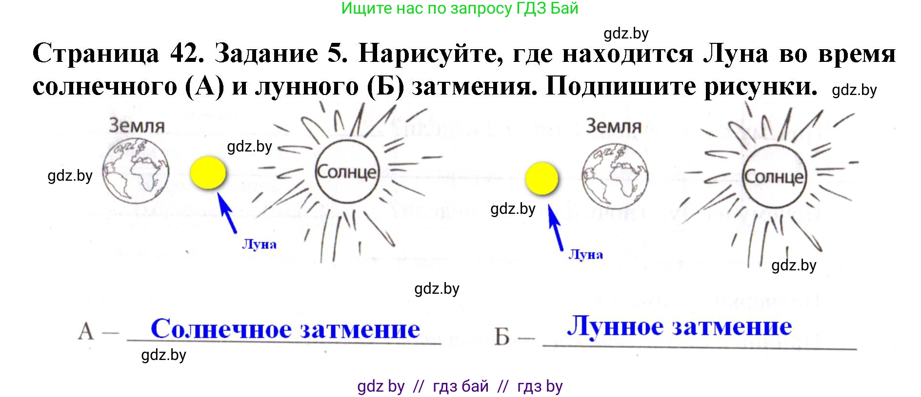 Человек и мир, 5 класс рабочая тетрадь, авторы: Лопух Пётр Степанович, Шкель Людмила Валерьевна, издательство Аверсэв, Минск, 2022, страница 42, номер 5, Решение