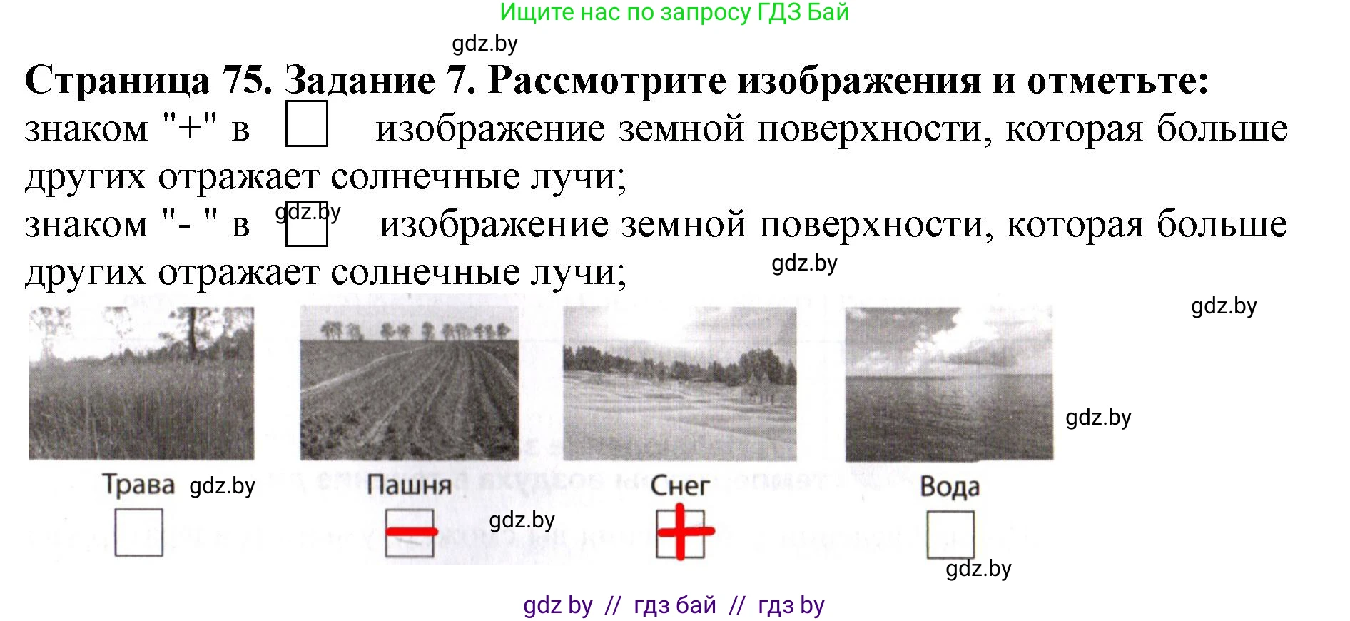 Человек и мир, 5 класс рабочая тетрадь, авторы: Лопух Пётр Степанович, Шкель Людмила Валерьевна, издательство Аверсэв, Минск, 2022, страница 75, номер 7, Решение