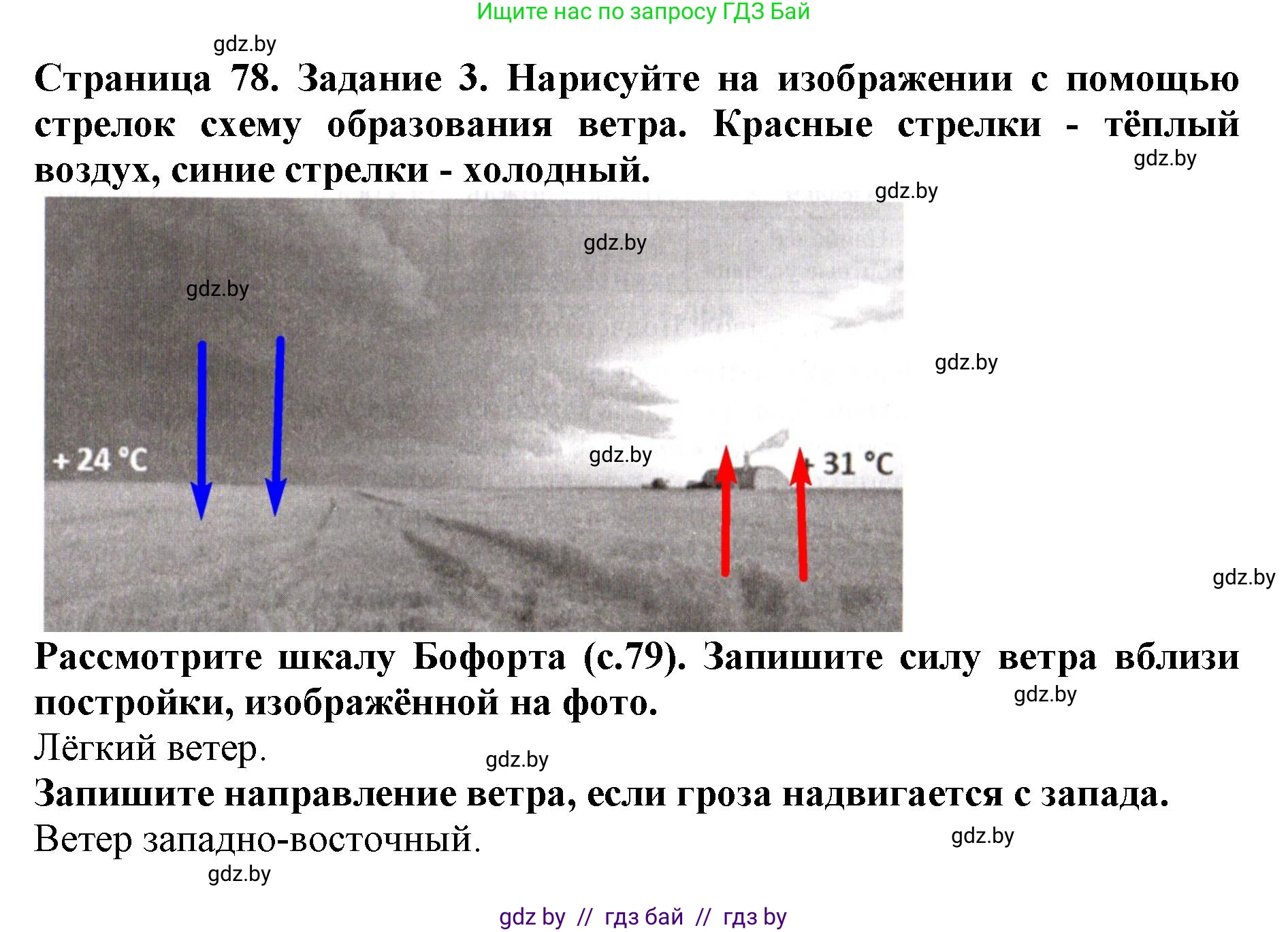 Человек и мир, 5 класс рабочая тетрадь, авторы: Лопух Пётр Степанович, Шкель Людмила Валерьевна, издательство Аверсэв, Минск, 2022, страница 78, номер 3, Решение
