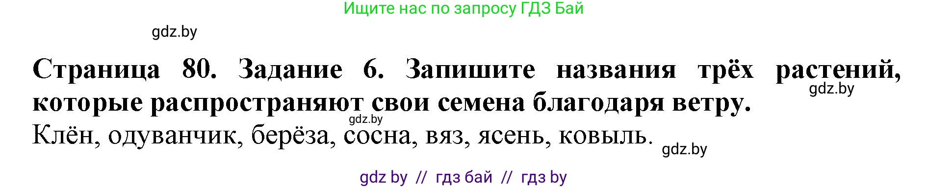 Человек и мир, 5 класс рабочая тетрадь, авторы: Лопух Пётр Степанович, Шкель Людмила Валерьевна, издательство Аверсэв, Минск, 2022, страница 80, номер 6, Решение