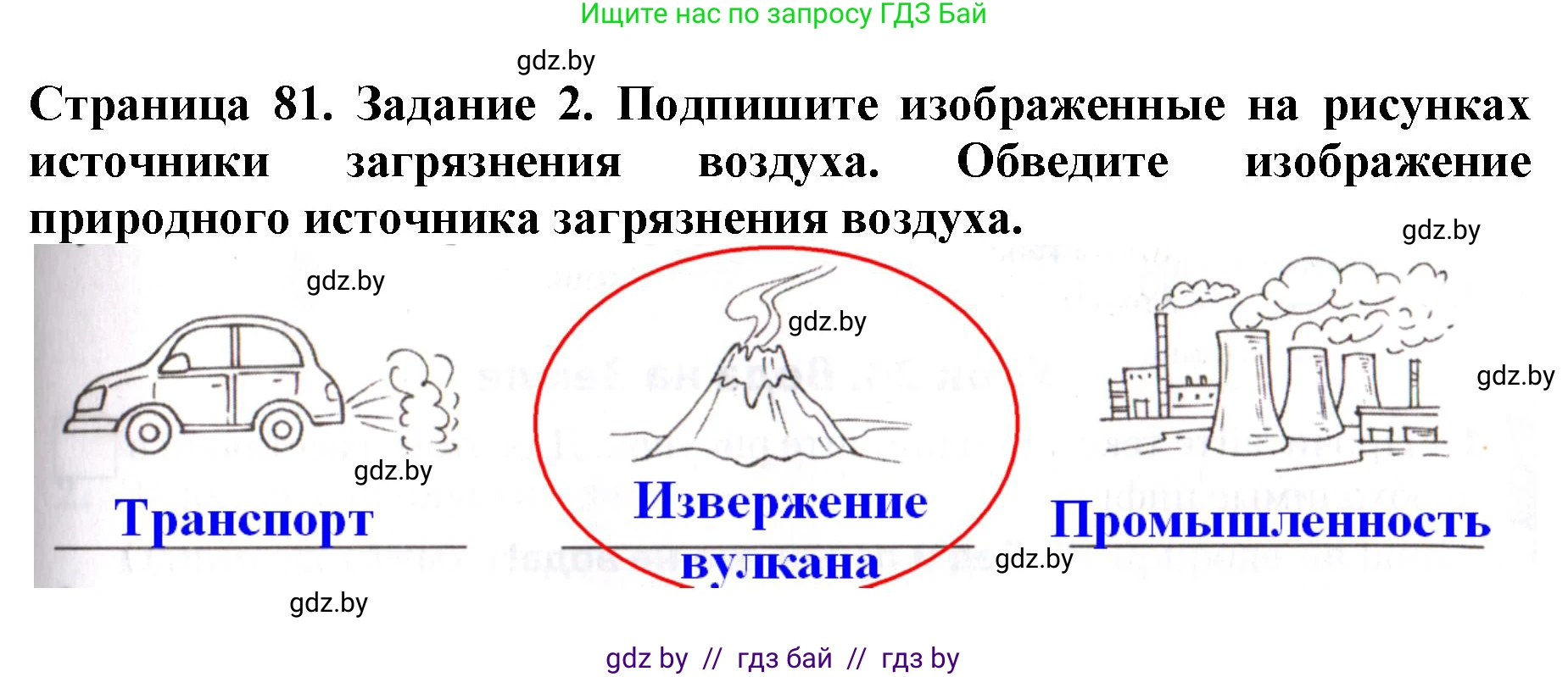 Человек и мир, 5 класс рабочая тетрадь, авторы: Лопух Пётр Степанович, Шкель Людмила Валерьевна, издательство Аверсэв, Минск, 2022, страница 81, номер 2, Решение