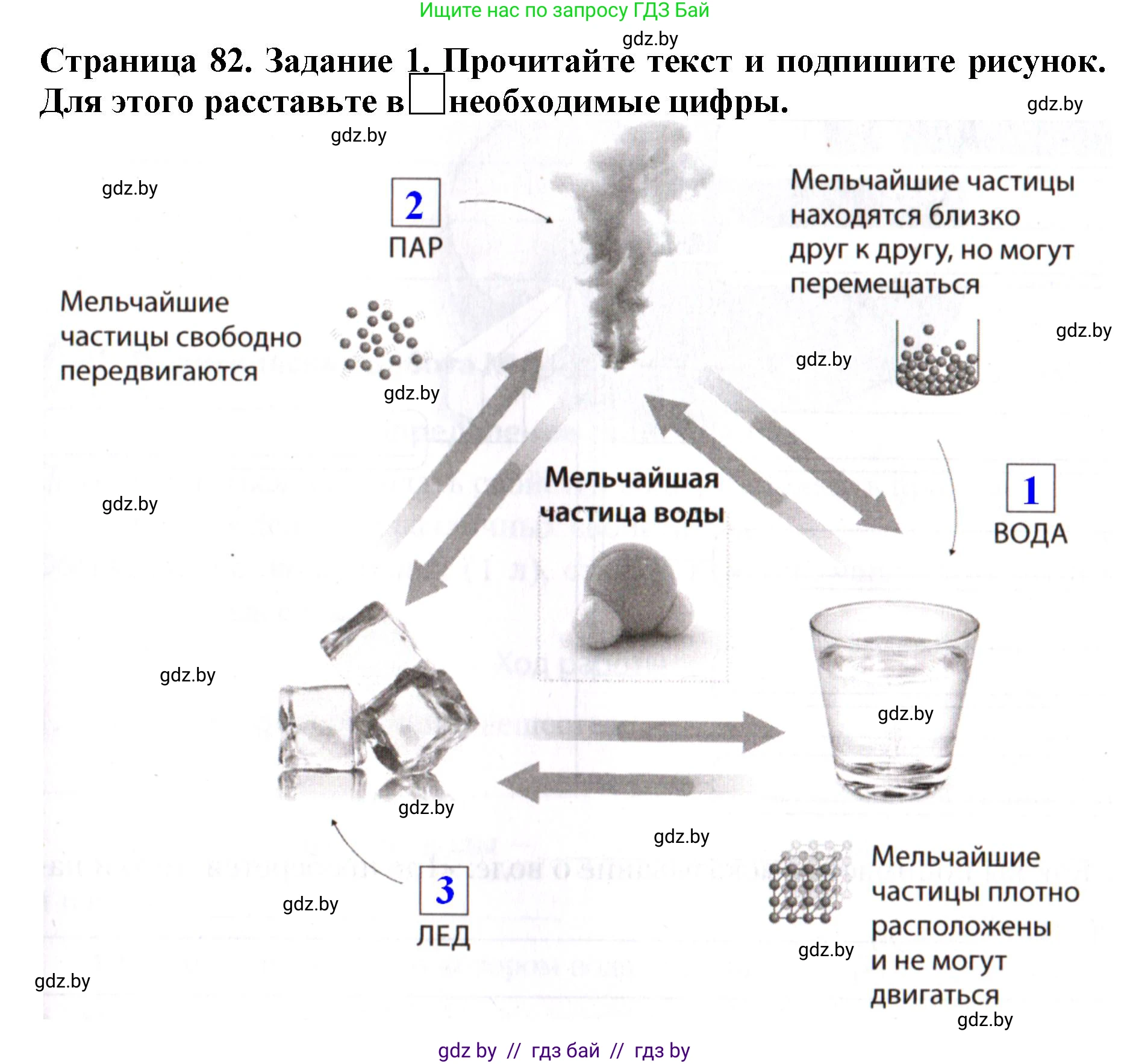 Человек и мир, 5 класс рабочая тетрадь, авторы: Лопух Пётр Степанович, Шкель Людмила Валерьевна, издательство Аверсэв, Минск, 2022, страница 82, номер 1, Решение