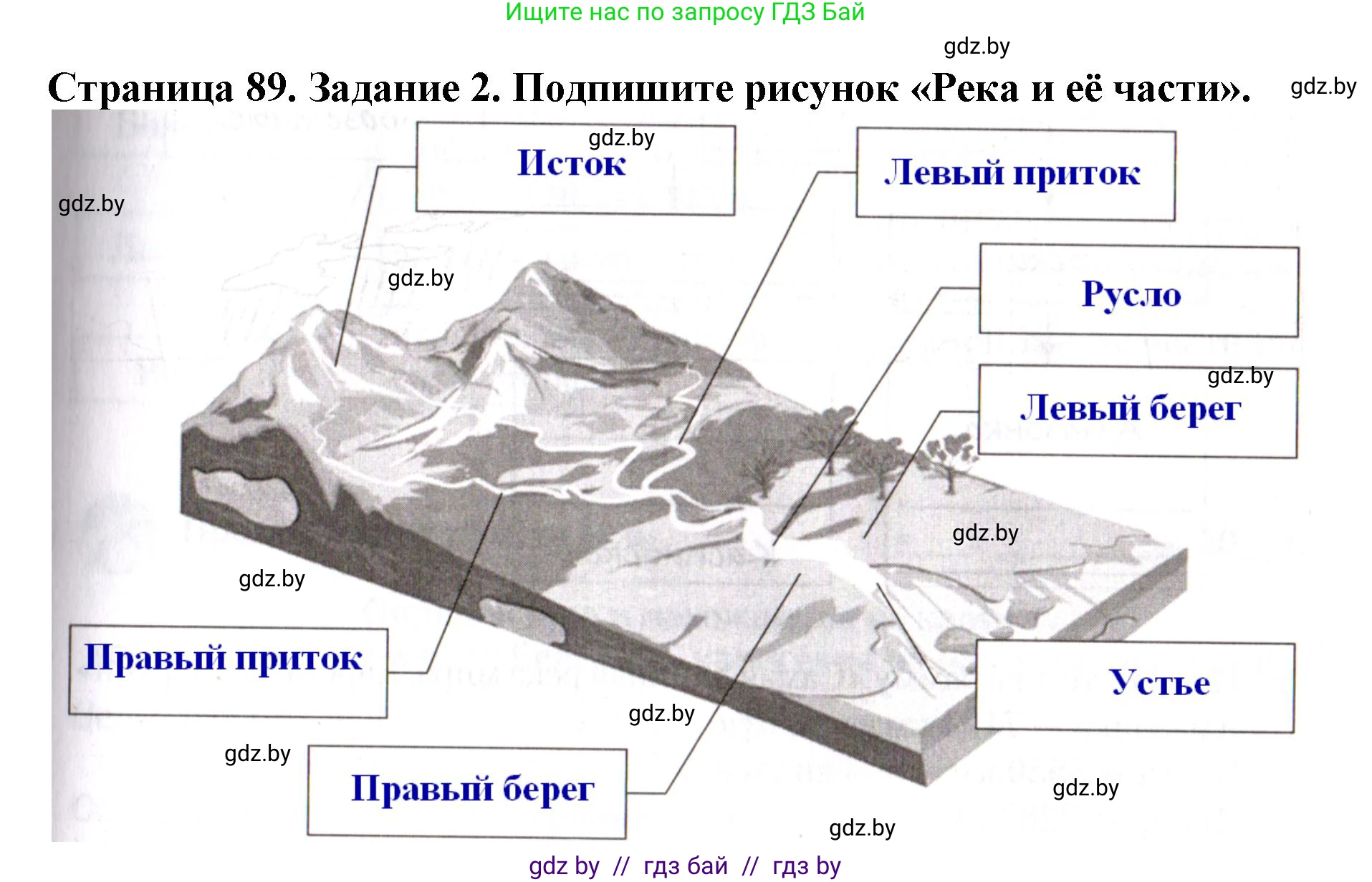 Человек и мир, 5 класс рабочая тетрадь, авторы: Лопух Пётр Степанович, Шкель Людмила Валерьевна, издательство Аверсэв, Минск, 2022, страница 89, номер 2, Решение