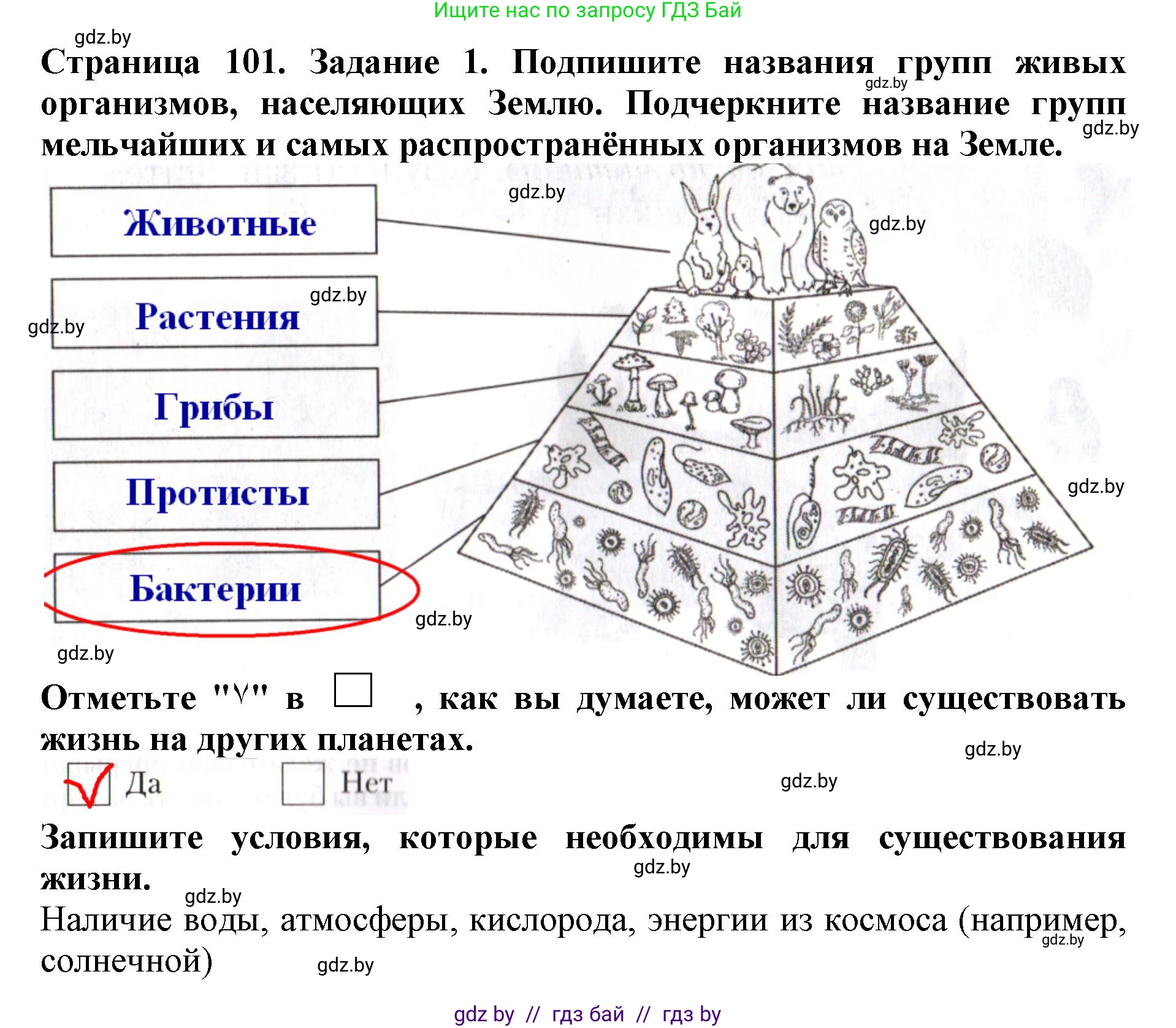 Человек и мир, 5 класс рабочая тетрадь, авторы: Лопух Пётр Степанович, Шкель Людмила Валерьевна, издательство Аверсэв, Минск, 2022, страница 101, номер 1, Решение