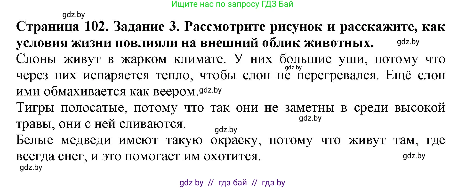 Человек и мир, 5 класс рабочая тетрадь, авторы: Лопух Пётр Степанович, Шкель Людмила Валерьевна, издательство Аверсэв, Минск, 2022, страница 102, номер 3, Решение