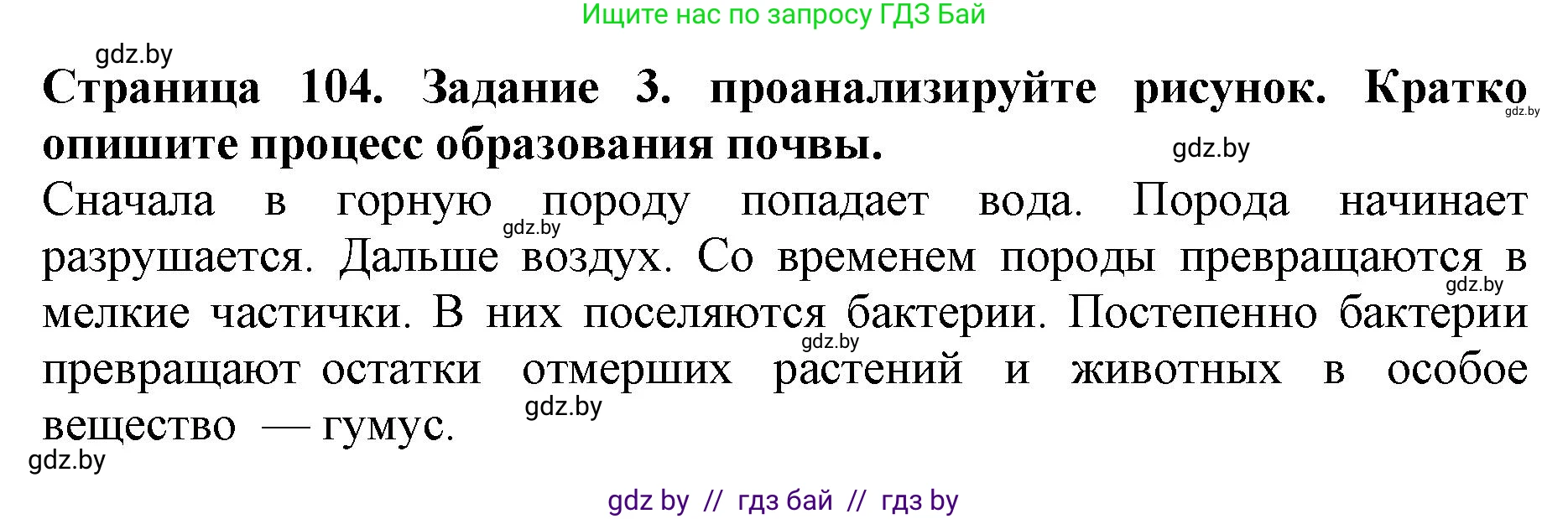 Человек и мир, 5 класс рабочая тетрадь, авторы: Лопух Пётр Степанович, Шкель Людмила Валерьевна, издательство Аверсэв, Минск, 2022, страница 104, номер 3, Решение