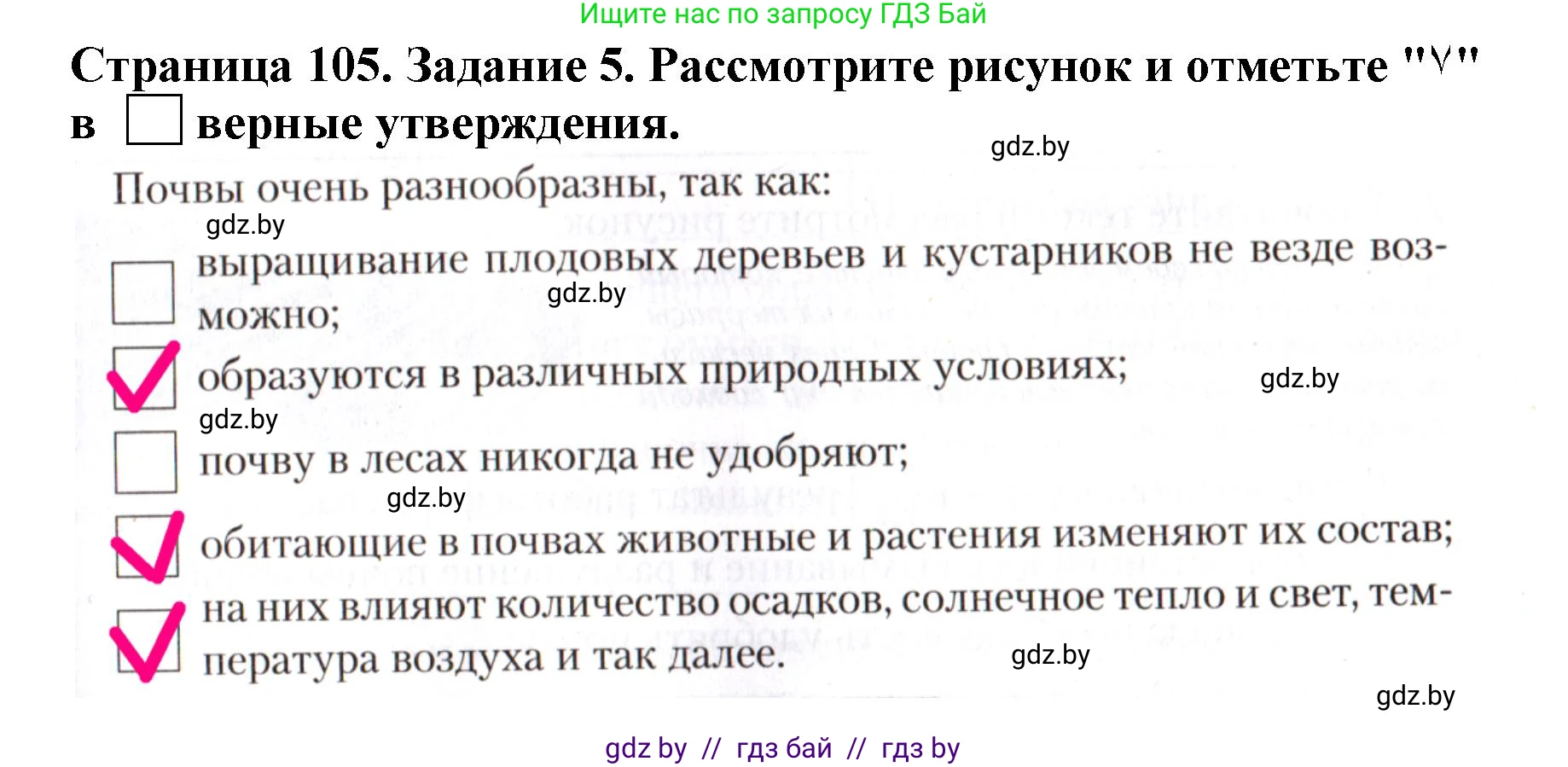 Человек и мир, 5 класс рабочая тетрадь, авторы: Лопух Пётр Степанович, Шкель Людмила Валерьевна, издательство Аверсэв, Минск, 2022, страница 105, номер 5, Решение