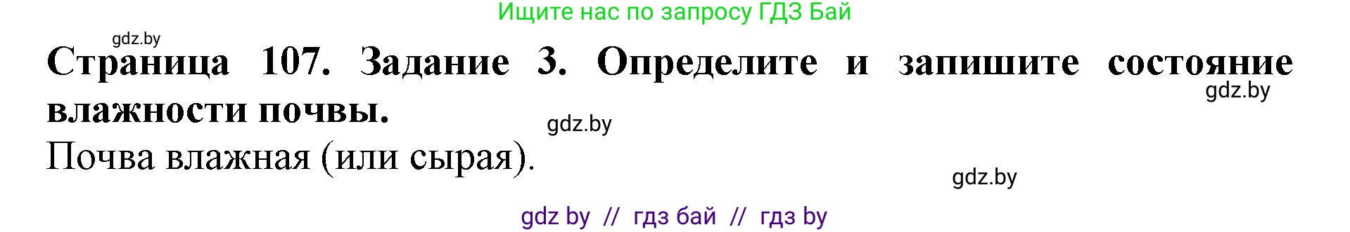 Человек и мир, 5 класс рабочая тетрадь, авторы: Лопух Пётр Степанович, Шкель Людмила Валерьевна, издательство Аверсэв, Минск, 2022, страница 107, номер 3, Решение
