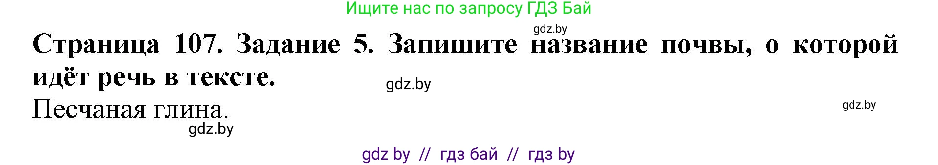 Человек и мир, 5 класс рабочая тетрадь, авторы: Лопух Пётр Степанович, Шкель Людмила Валерьевна, издательство Аверсэв, Минск, 2022, страница 107, номер 5, Решение