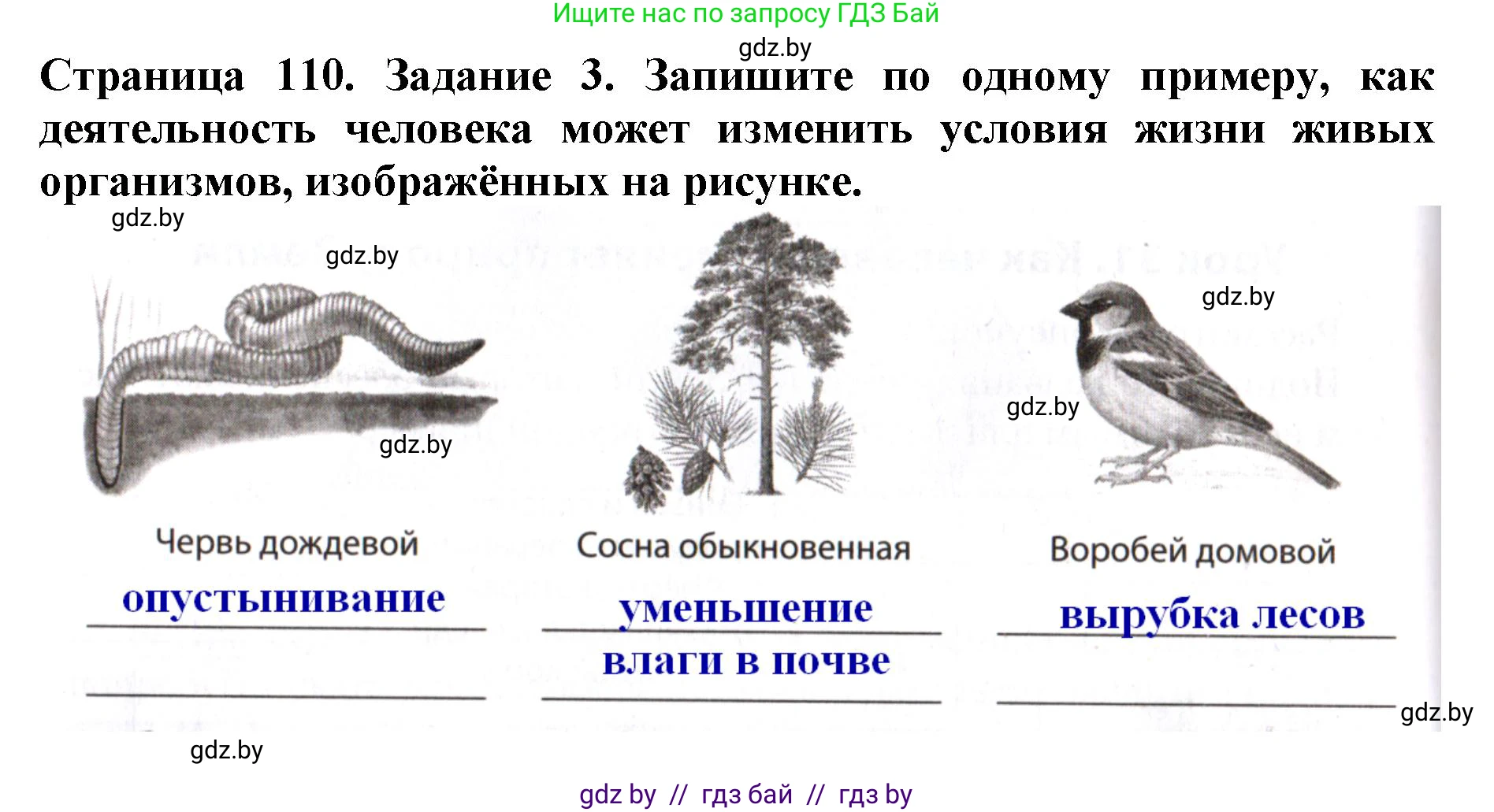 Человек и мир, 5 класс рабочая тетрадь, авторы: Лопух Пётр Степанович, Шкель Людмила Валерьевна, издательство Аверсэв, Минск, 2022, страница 110, номер 3, Решение