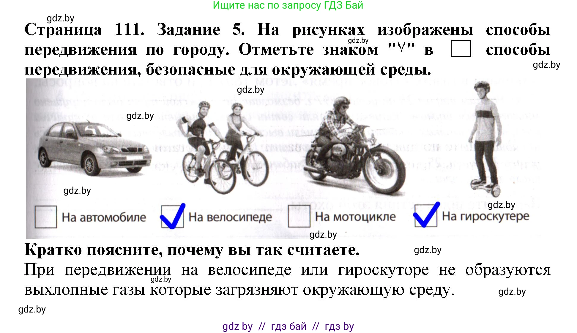 Человек и мир, 5 класс рабочая тетрадь, авторы: Лопух Пётр Степанович, Шкель Людмила Валерьевна, издательство Аверсэв, Минск, 2022, страница 111, номер 5, Решение