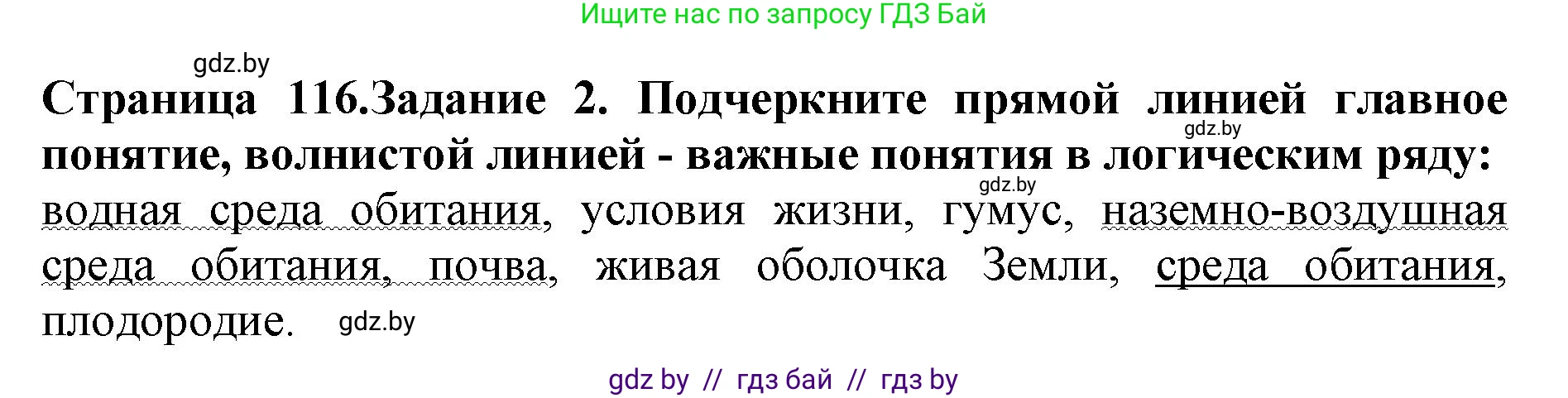 Человек и мир, 5 класс рабочая тетрадь, авторы: Лопух Пётр Степанович, Шкель Людмила Валерьевна, издательство Аверсэв, Минск, 2022, страница 116, номер 2, Решение