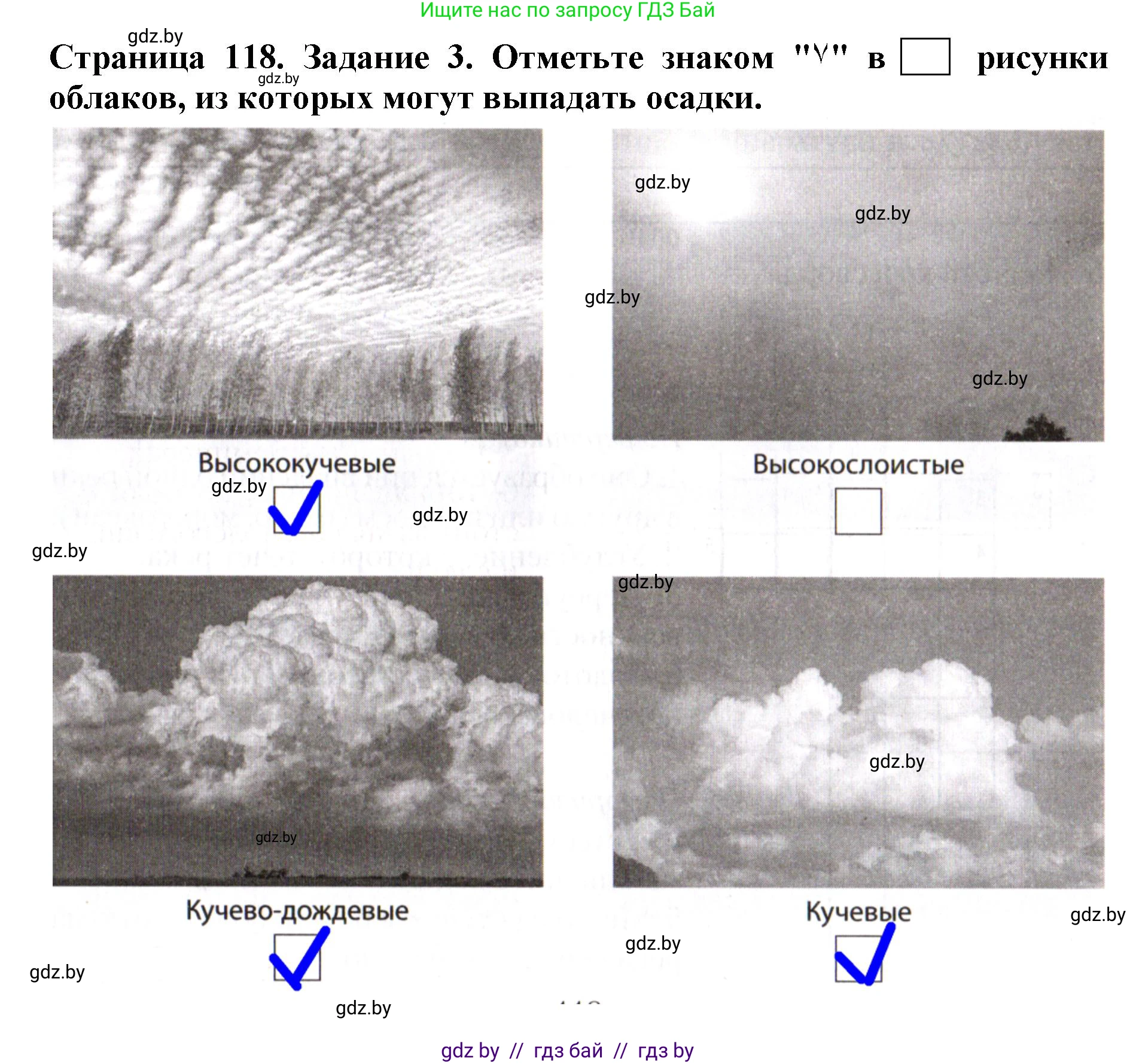 Человек и мир, 5 класс рабочая тетрадь, авторы: Лопух Пётр Степанович, Шкель Людмила Валерьевна, издательство Аверсэв, Минск, 2022, страница 118, номер 3, Решение