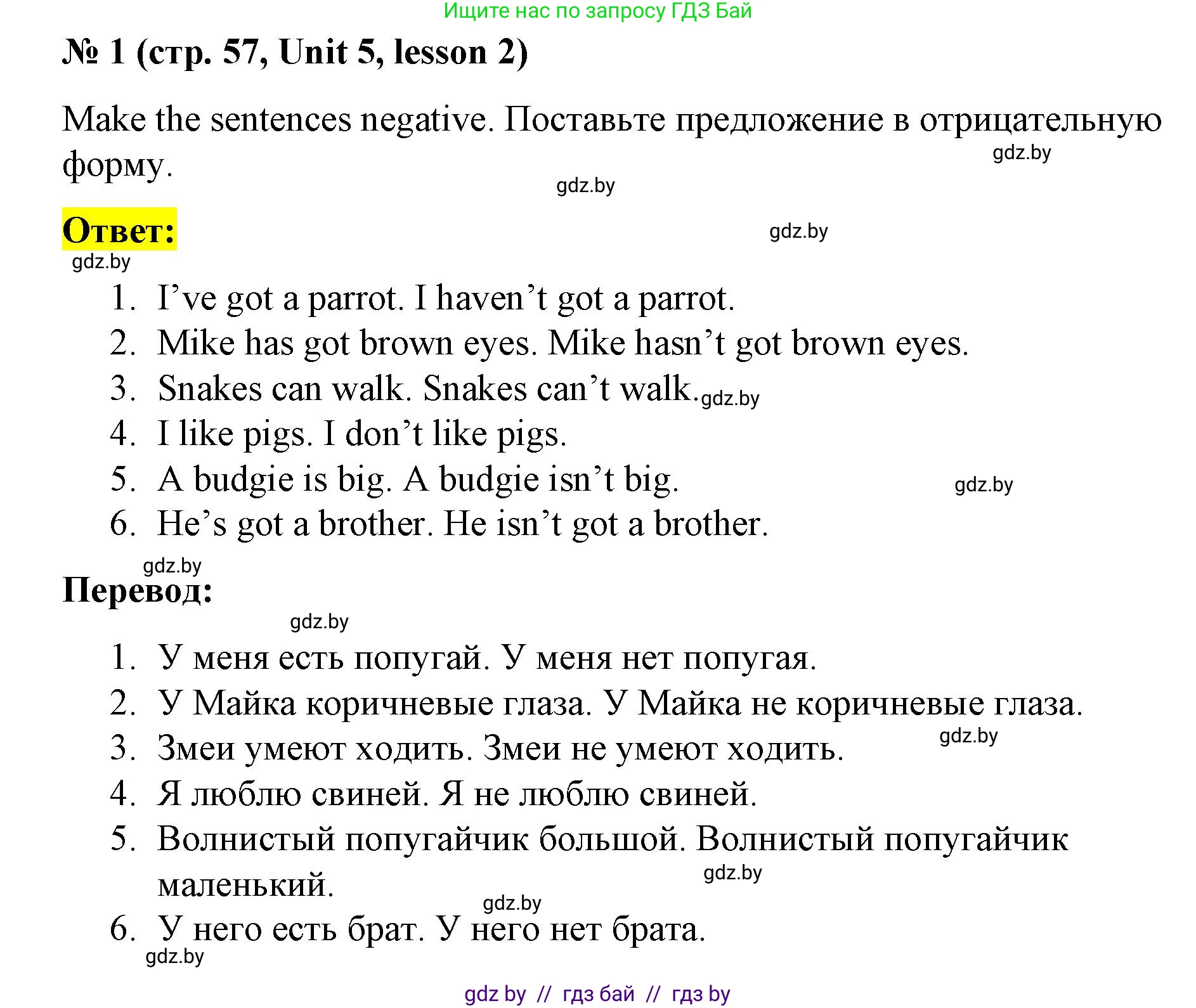 Английский язык (english), 3 класс практикум по грамматике (grammar), автор: Севрюкова Татьяна Юрьевна, издательство Аверсэв, Минск, 2023, салатового цвета, страница 57, номер 1, Решение