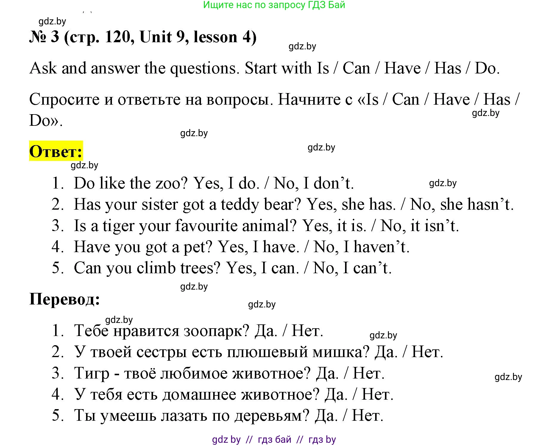 Английский язык (english), 3 класс практикум по грамматике (grammar), автор: Севрюкова Татьяна Юрьевна, издательство Аверсэв, Минск, 2023, салатового цвета, страница 120, номер 3, Решение