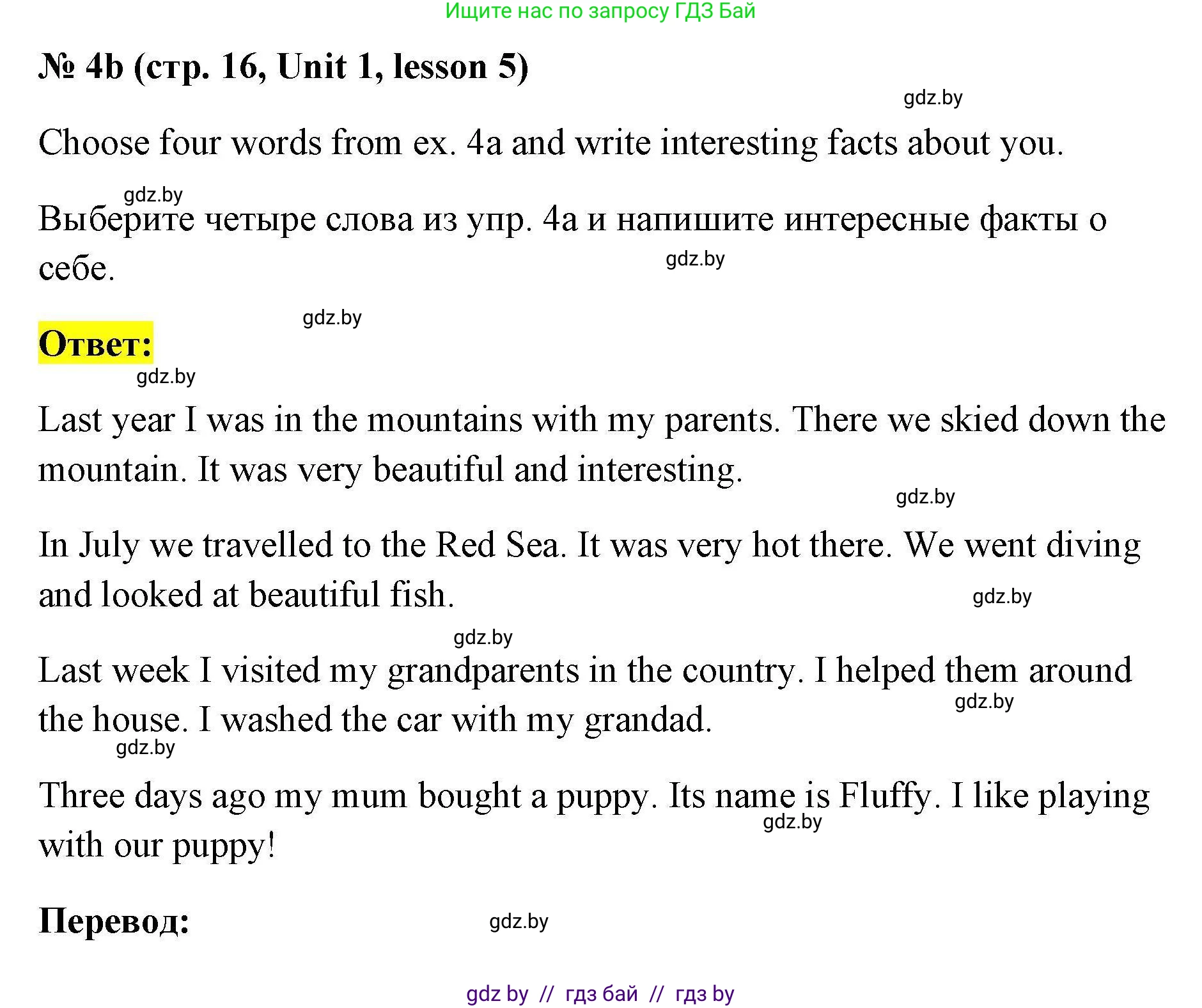 Английский язык (english), 5 класс Рабочая тетрадь (workbook), авторы: Лапицкая Людмила Михайловна (Lapitskaya Ludmila), Калишевич Алла Ивановна, Севрюкова Татьяна Юрьевна, Седунова Наталья Михайловна (Sedunova Natalia), издательство Аверсэв, Минск, 2020, оранжевого цвета, Часть 1, страница 16, номер 4b, Решение