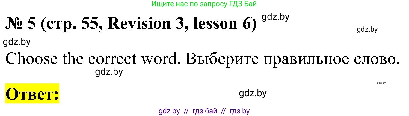 Английский язык (english), 5 класс практикум по грамматике (grammar), автор: Севрюкова Татьяна Юрьевна, издательство Аверсэв, Минск, 2023, оранжевого цвета, страница 55, номер 5, Решение