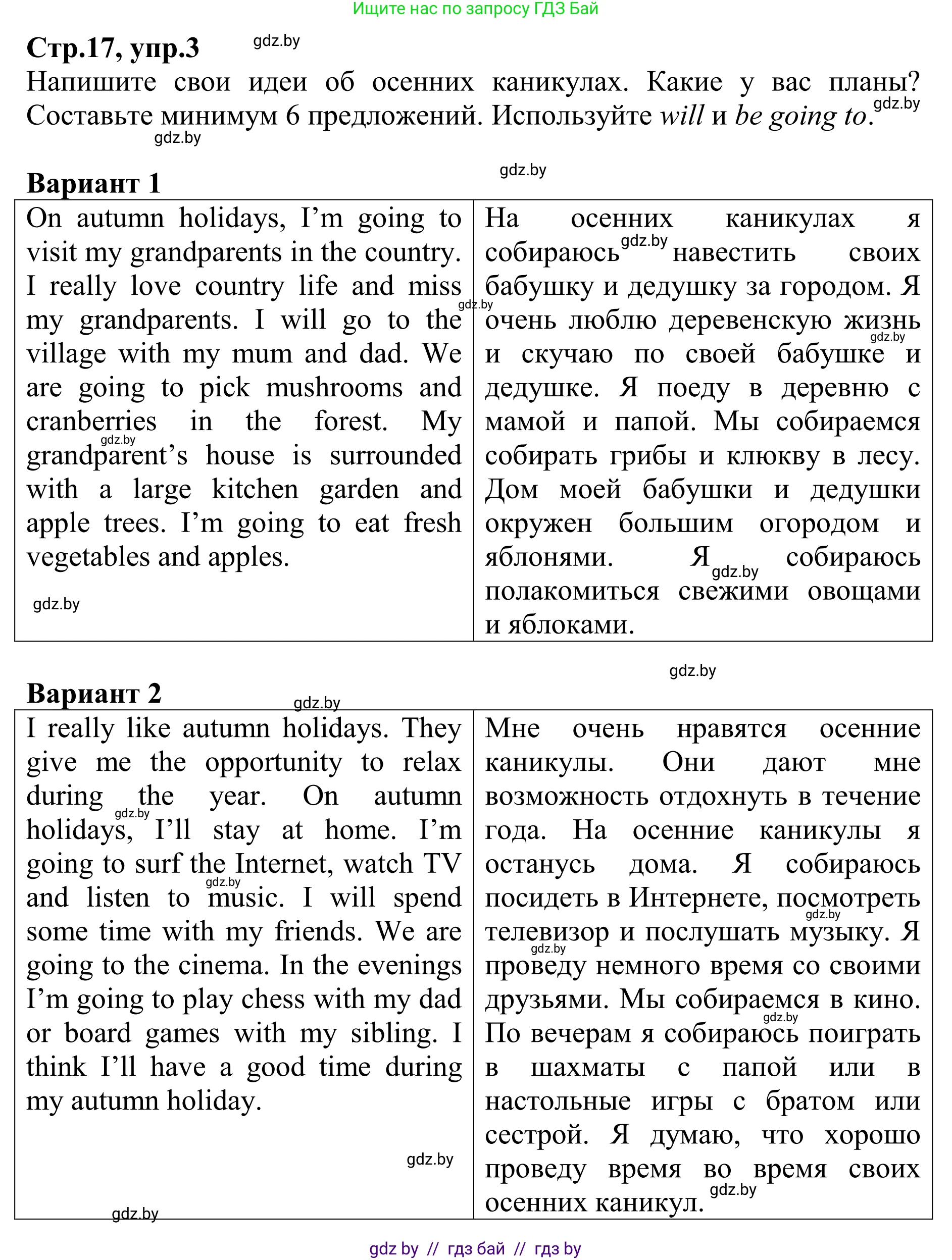 Английский язык (english), 6 класс рабочая тетрадь (activity book), авторы: Юхнель Наталья Валентиновна, Наумова Елена Георгиевна, Малиновская Елена Александровна, Гуськов А Л, Демченко Наталья Валентиновна, Лабода Т Е, Манешина А В, Матюш Н В, издательство Аверсэв, Минск, зелёного цвета, Часть ( Part) 1, страница 17, номер 3, Решение