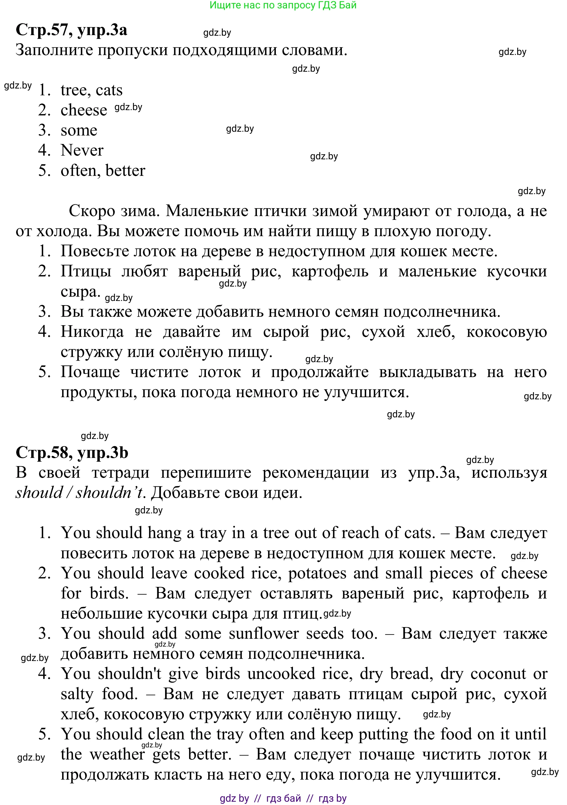 Английский язык (english), 6 класс рабочая тетрадь (activity book), авторы: Юхнель Наталья Валентиновна, Наумова Елена Георгиевна, Малиновская Елена Александровна, Гуськов А Л, Демченко Наталья Валентиновна, Лабода Т Е, Манешина А В, Матюш Н В, издательство Аверсэв, Минск, зелёного цвета, Часть ( Part) 1, страница 57, номер 3, Решение