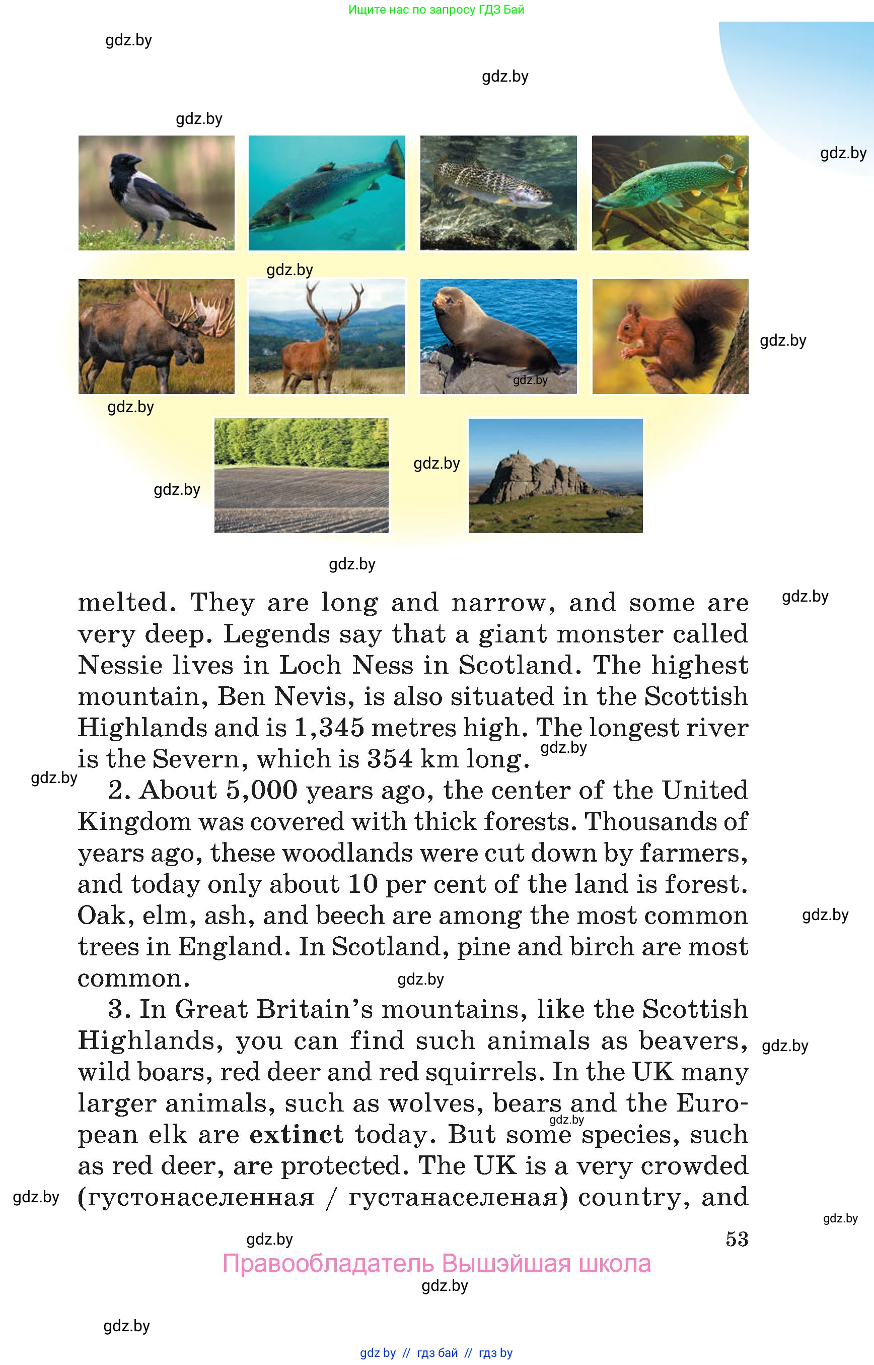 Английский язык (english), 6 класс Учебник, авторы: Демченко Наталья Валентиновна, Севрюкова Татьяна Юрьевна, Юхнель Наталья Валентиновна, Наумова Елена Георгиевна, Рыбалко О Н, Манешина А В, Маслёнченко Н А, издательство Вышэйшая школа, Минск, 2018, красного цвета, страница 53