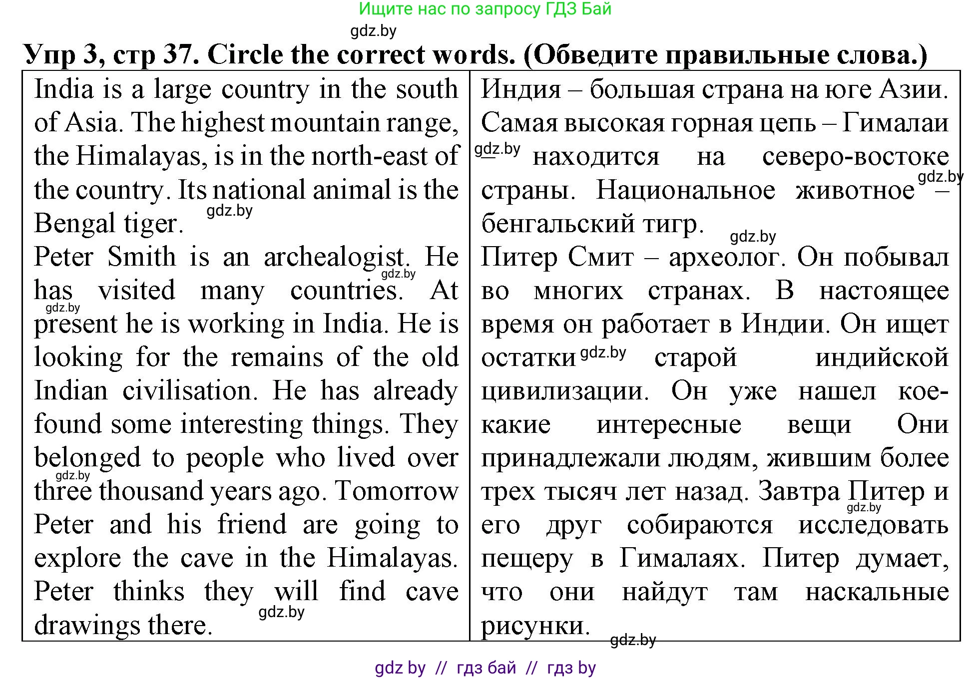 Английский язык (english), 6 класс Тетрадь по грамматике (grammar), авторы: Севрюкова Татьяна Юрьевна, Юхнель Наталья Валентиновна, Бушуева Эдите Владиславовна, издательство Аверсэв, Минск, 2022, зелёного цвета, страница 37, номер 3, Решение