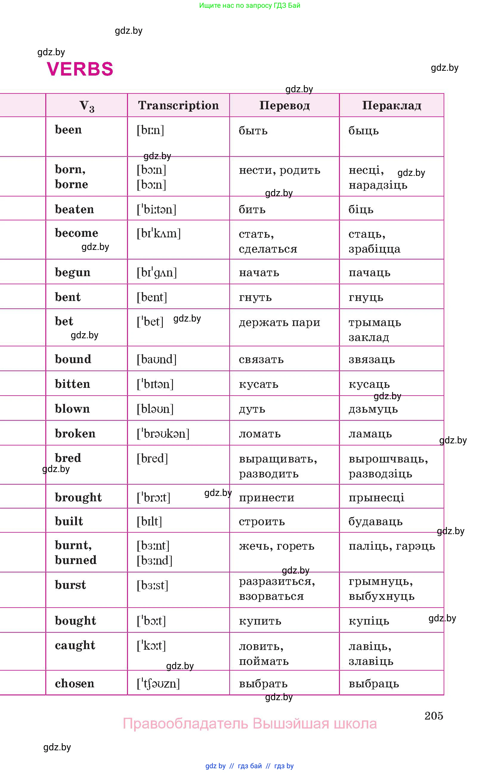 Английский язык (english), 10 класс Учебник (Student's book), авторы: Демченко Наталья Валентиновна, Юхнель Наталья Валентиновна, Севрюкова Татьяна Юрьевна, Бушуева Эдите Владиславовна, Лапицкая Людмила Михайловна (Lapitskaya Ludmila), издательство Вышэйшая школа, Минск, 2021, голубого цвета, страница 205