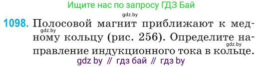 Физика, 10 класс Сборник задач, авторы: Дорофейчик Владимир Владимирович, Белая Ольга Николаевна, издательство Национальный институт образования, Минск, 2022, страница 250, номер 1098, Условие