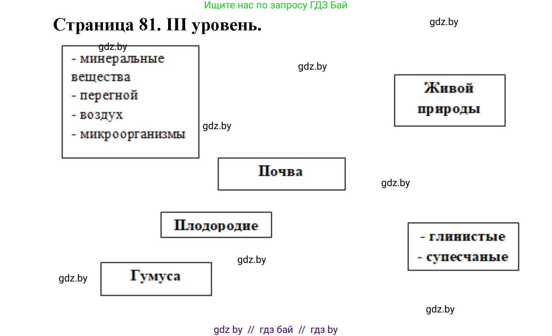 География, 6 класс Тетрадь для практических работ, авторы: Кольмакова Елена Генадьевна, Пикулик Валентина Владимировна, издательство Аверсэв, Минск, 2023, страница 81, Решение