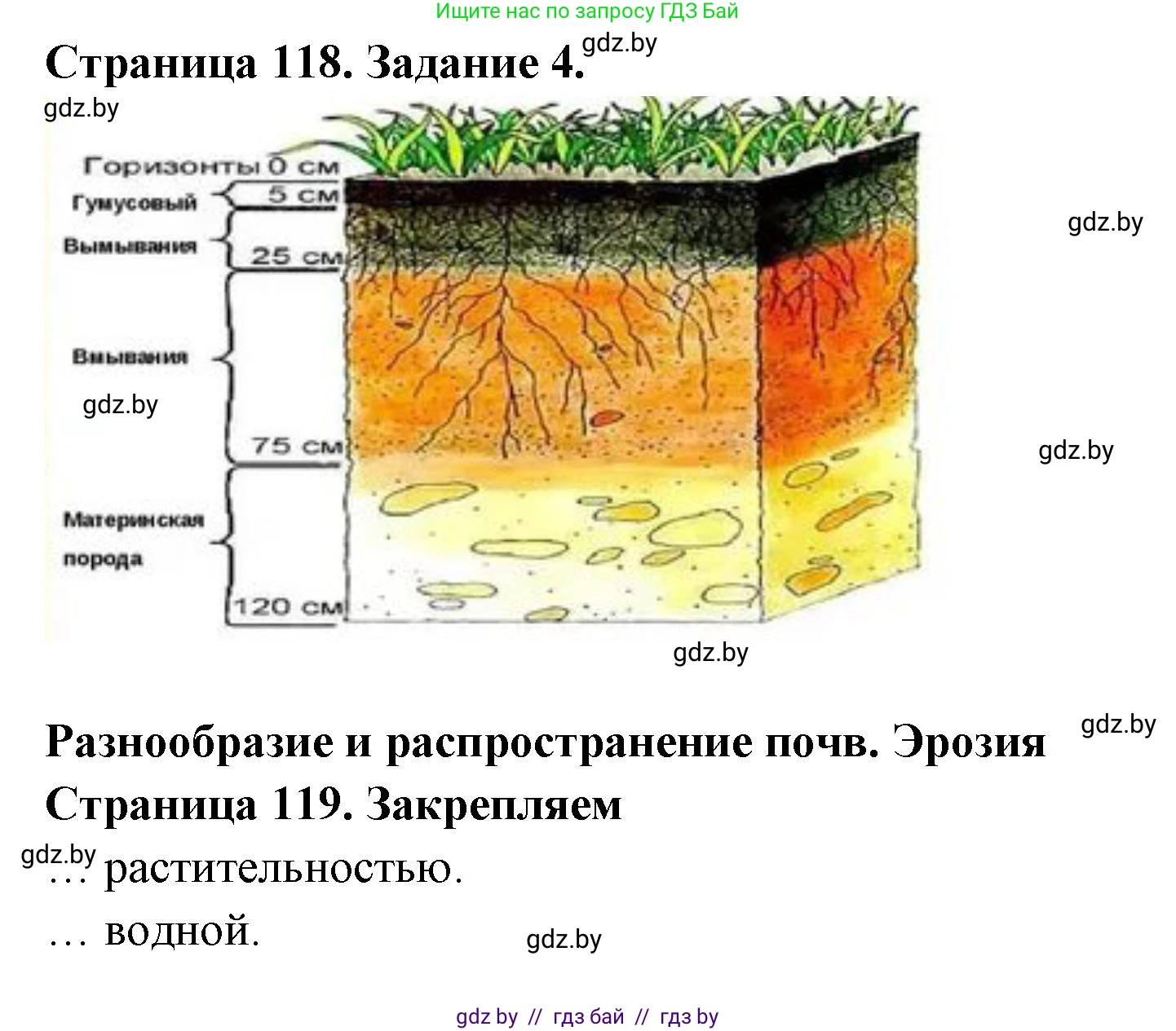 География, 6 класс рабочая тетрадь, авторы: Кольмакова Елена Генадьевна, Пикулик Валентина Владимировна, издательство Аверсэв, Минск, 2022, бирюзового цвета, страница 118, номер 4, Решение