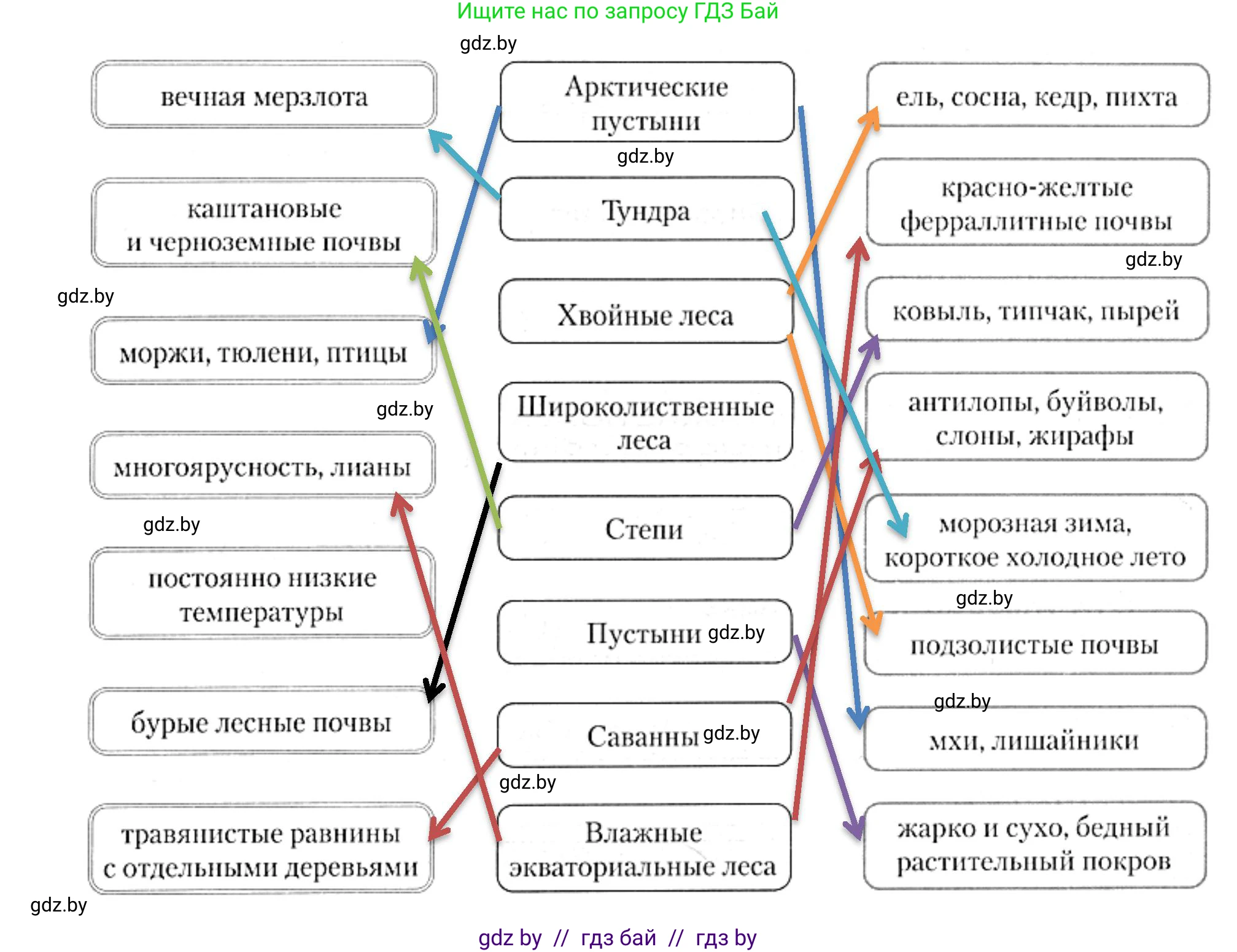 География, 7 класс рабочая тетрадь, авторы: Кольмакова Елена Генадьевна, Сарычева Ольга Владимировна, Тарасенок Елена Николаевна, издательство Аверсэв, Минск, 2024, страница 20, номер 2, Решение