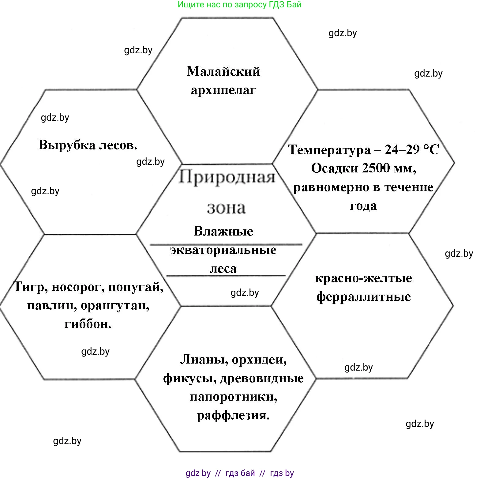 География, 7 класс рабочая тетрадь, авторы: Кольмакова Елена Генадьевна, Сарычева Ольга Владимировна, Тарасенок Елена Николаевна, издательство Аверсэв, Минск, 2024, страница 101, номер 2, Решение