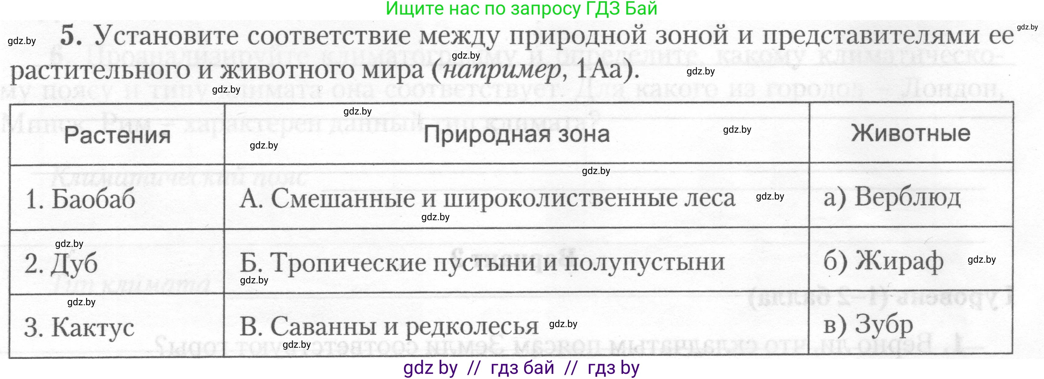 География, 7 класс тетрадь для практических и самостоятельных работ, авторы: Метельский Юрий Михайлович, Чайковская Людмила Ивановна, издательство Сэр-Вит, Минск, 2023, бирюзового цвета, страница 24, номер 5, Условие