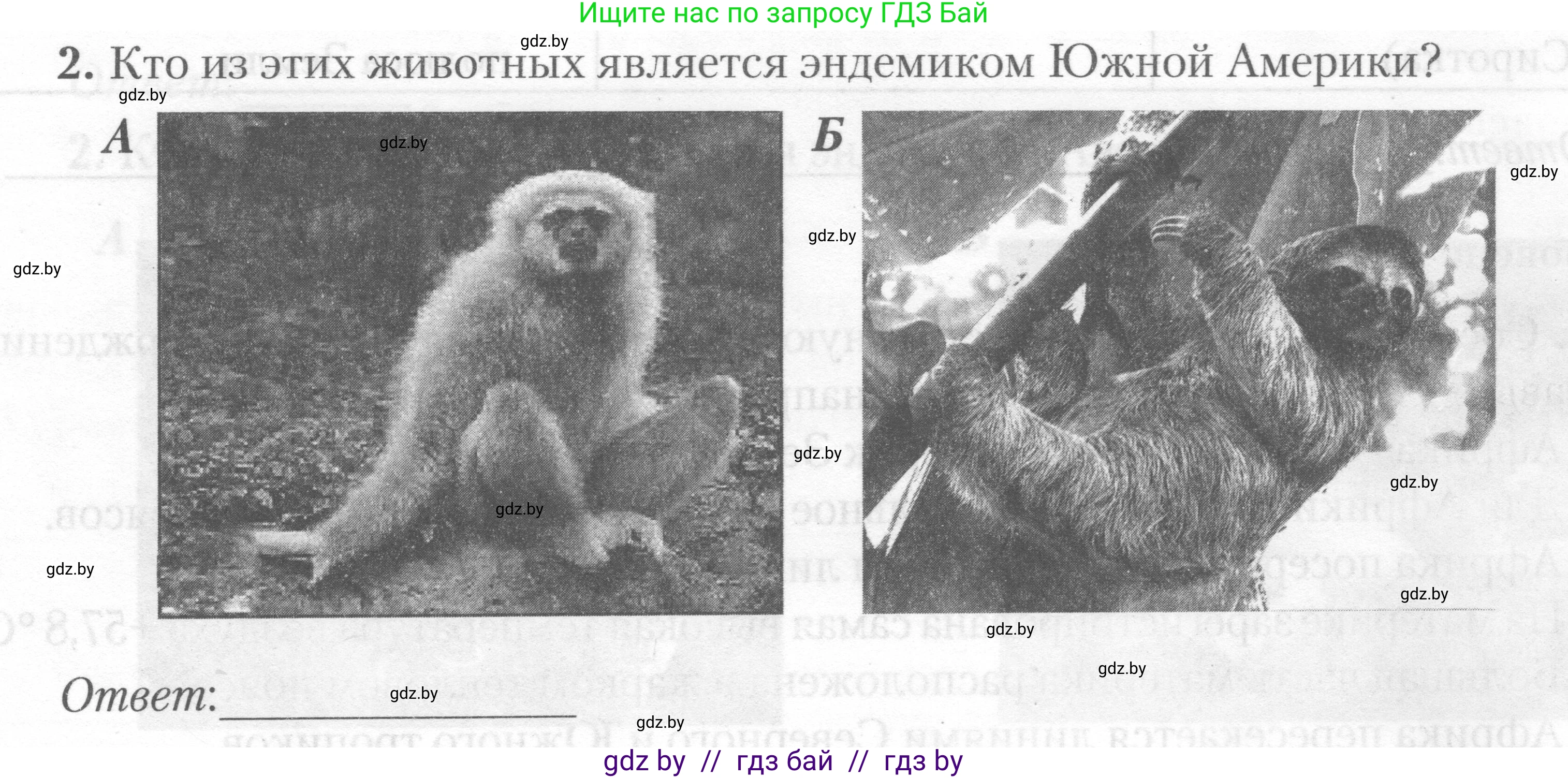 География, 7 класс тетрадь для практических и самостоятельных работ, авторы: Метельский Юрий Михайлович, Чайковская Людмила Ивановна, издательство Сэр-Вит, Минск, 2023, бирюзового цвета, страница 28, номер 2, Условие