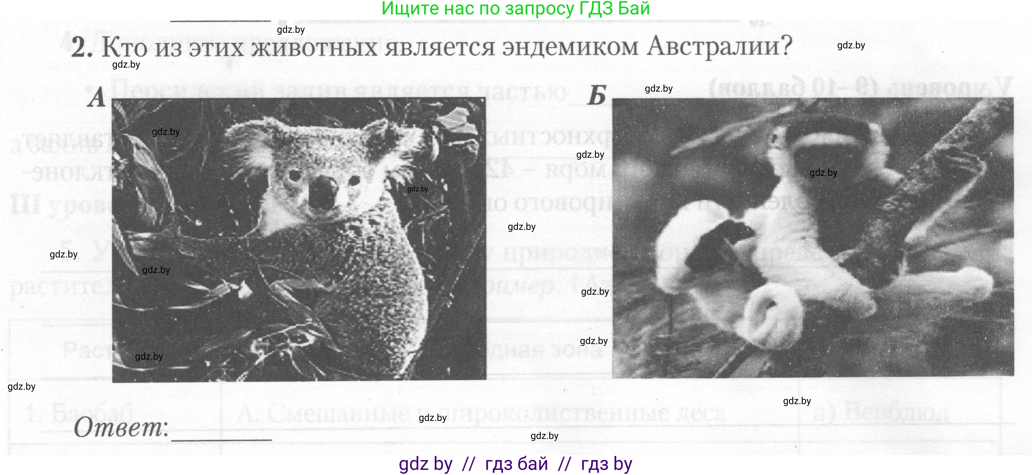 География, 7 класс тетрадь для практических и самостоятельных работ, авторы: Метельский Юрий Михайлович, Чайковская Людмила Ивановна, издательство Сэр-Вит, Минск, 2023, бирюзового цвета, страница 26, номер 2, Условие