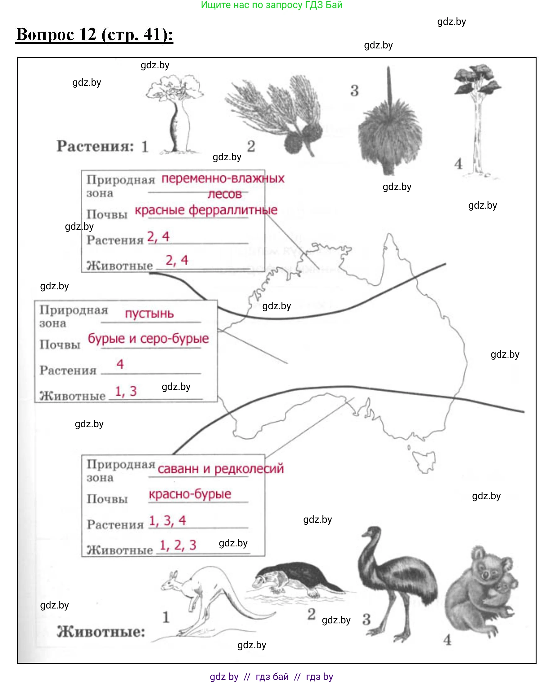 География, 7 класс Тетрадь для практических работ и индивидуальных заданий, авторы: Витченко Александр Николаевич, Станкевич Наталья Григорьевна, издательство Аверсэв, Минск, 2022, страница 41, номер 12, Решение