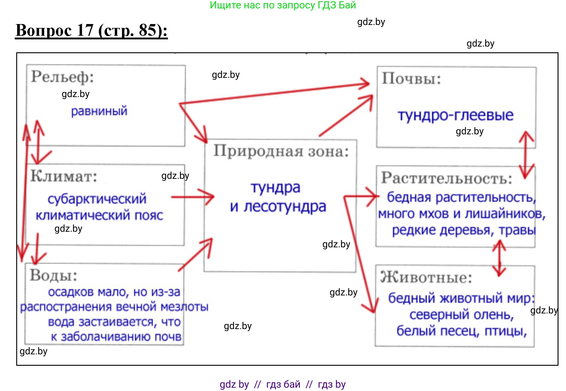 География, 7 класс Тетрадь для практических работ и индивидуальных заданий, авторы: Витченко Александр Николаевич, Станкевич Наталья Григорьевна, издательство Аверсэв, Минск, 2022, страница 85, номер 17, Решение